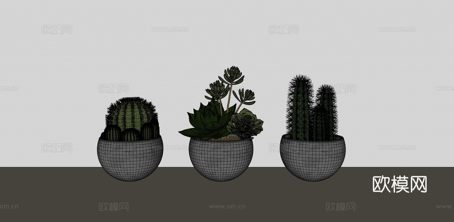 盆栽多肉绿植su模型