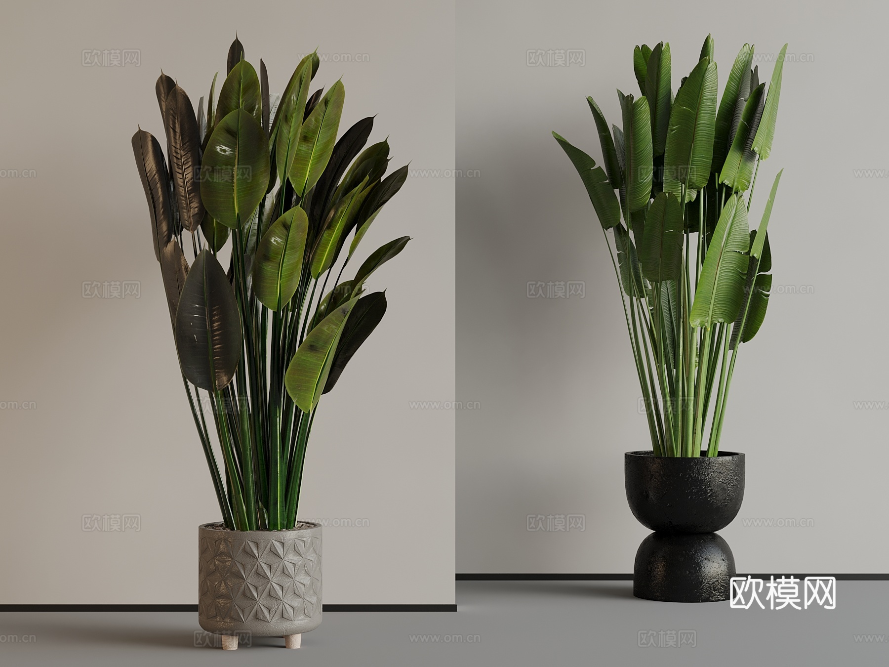现代绿植 绿植3d模型