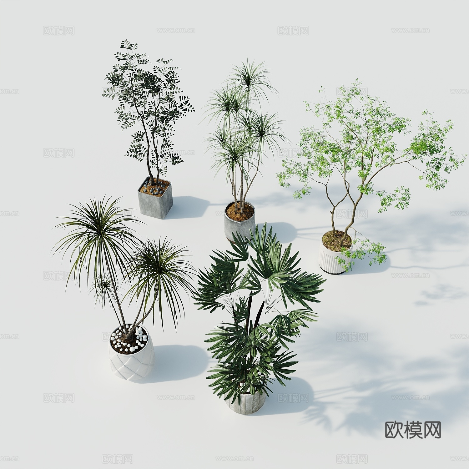 现代盆栽盆栽盆景室内盆栽户外盆栽绿植装饰3d模型