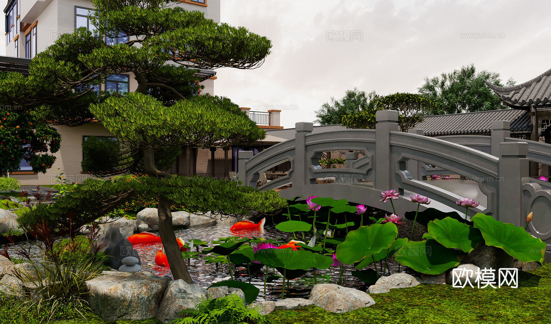 新中式鱼池 庭院景观 鱼池景观 小桥 荷花3d模型