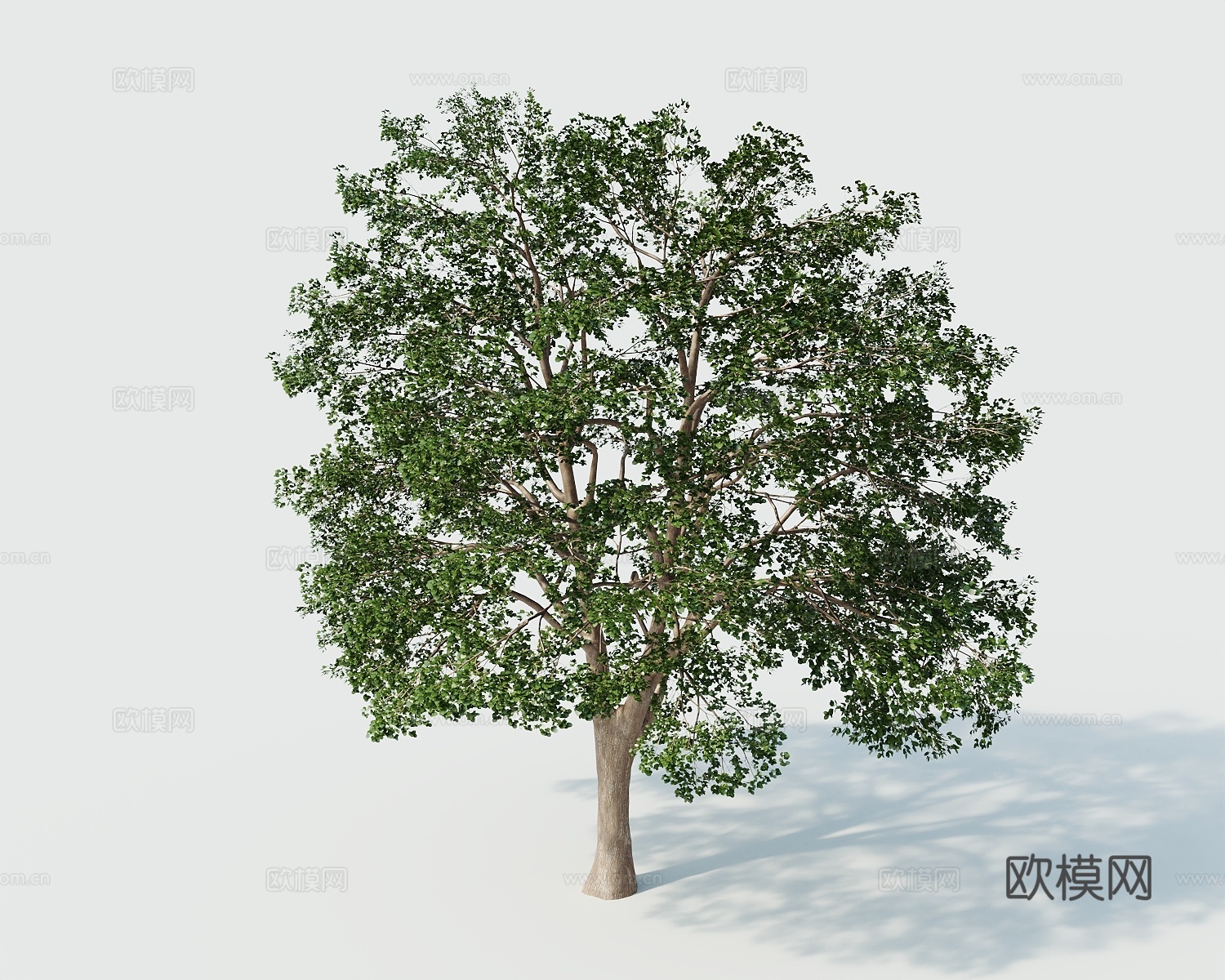 树景观树绿植树绿化树3d模型
