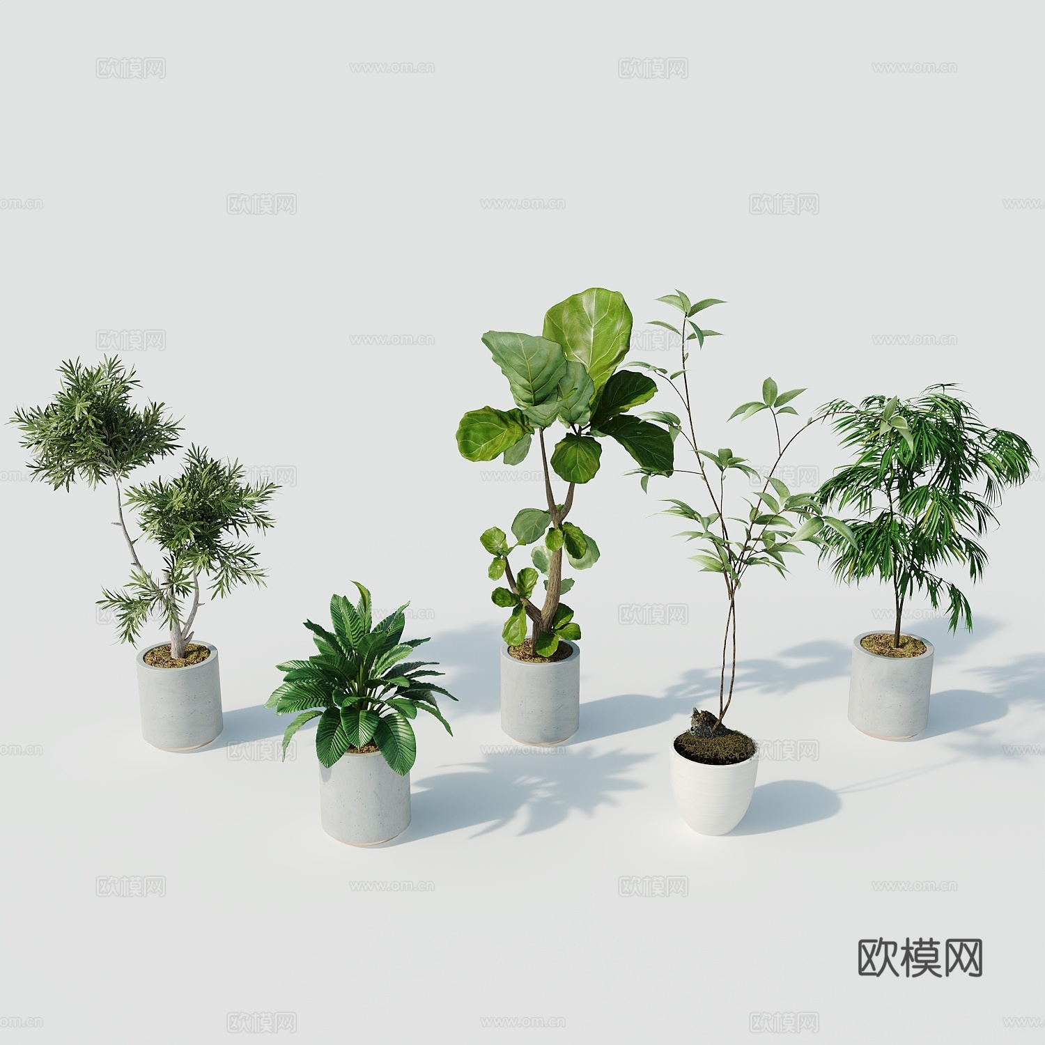 现代盆栽盆栽盆景室内盆栽户外盆栽绿植装饰3d模型