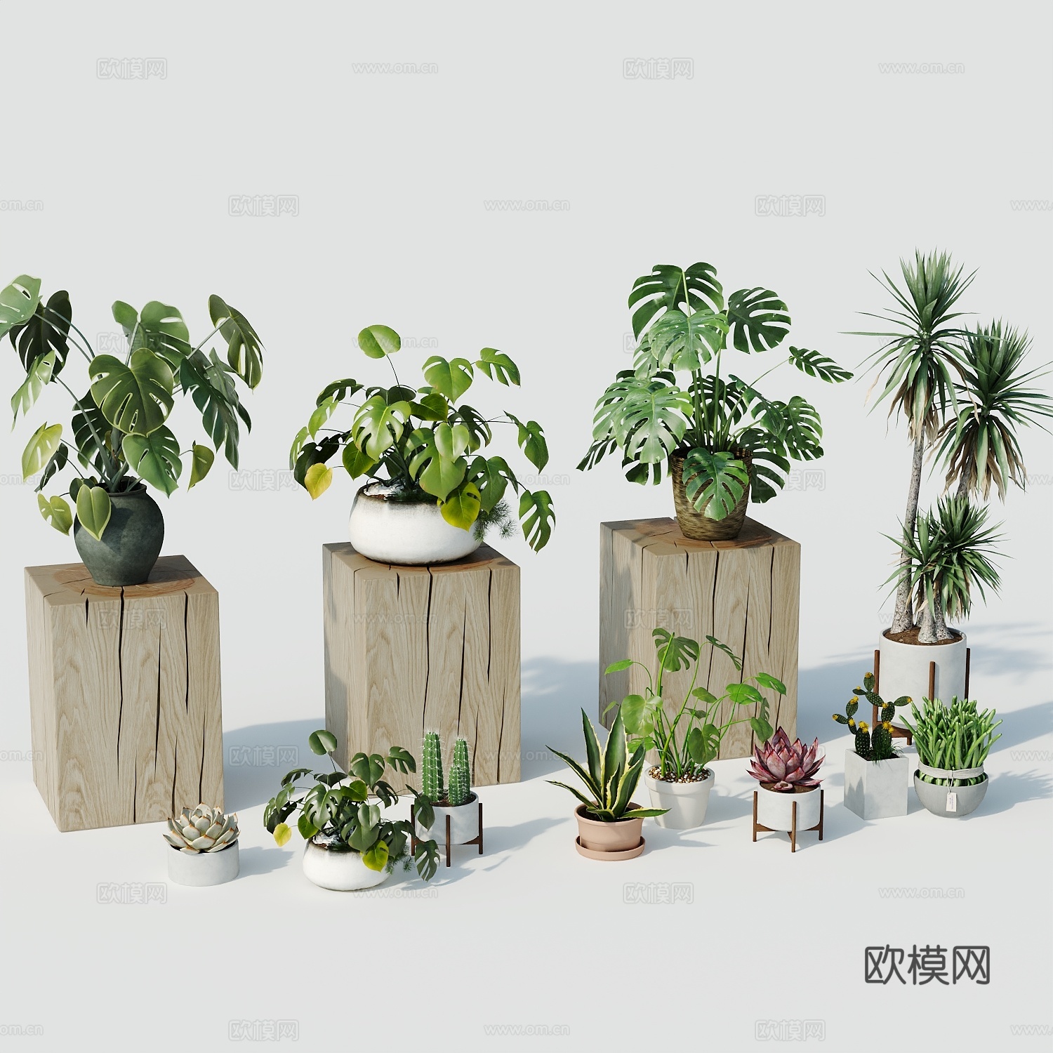 现代盆栽盆栽盆景室内盆栽户外盆栽绿植装饰3d模型