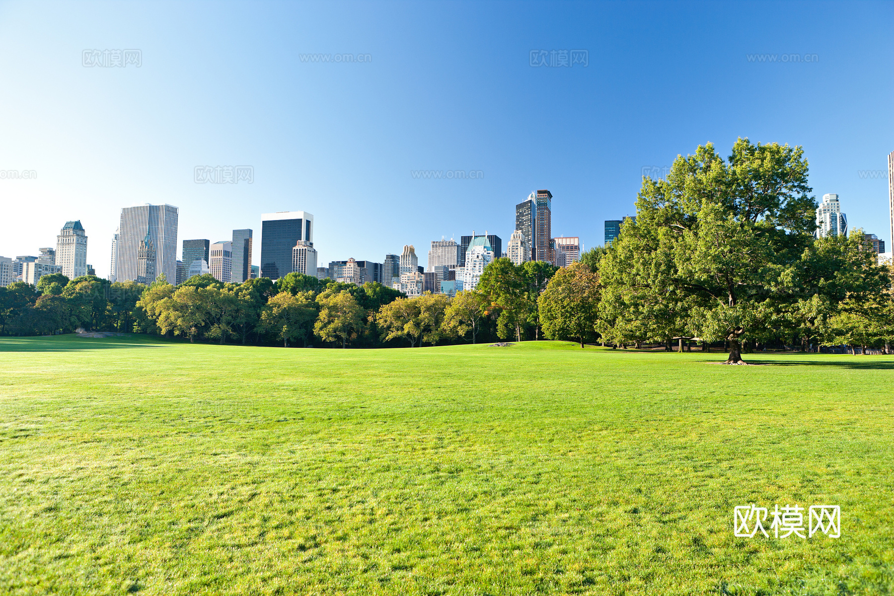 公园外景  环境贴图