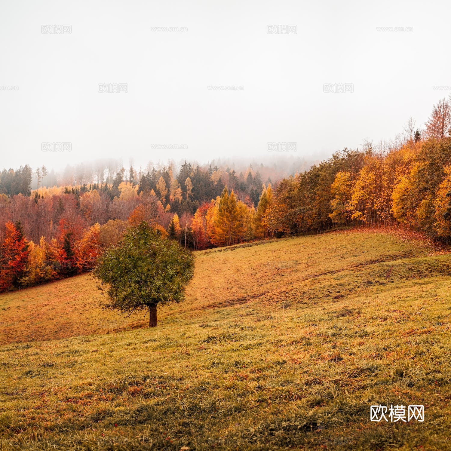 自然风景   秋天山林风景