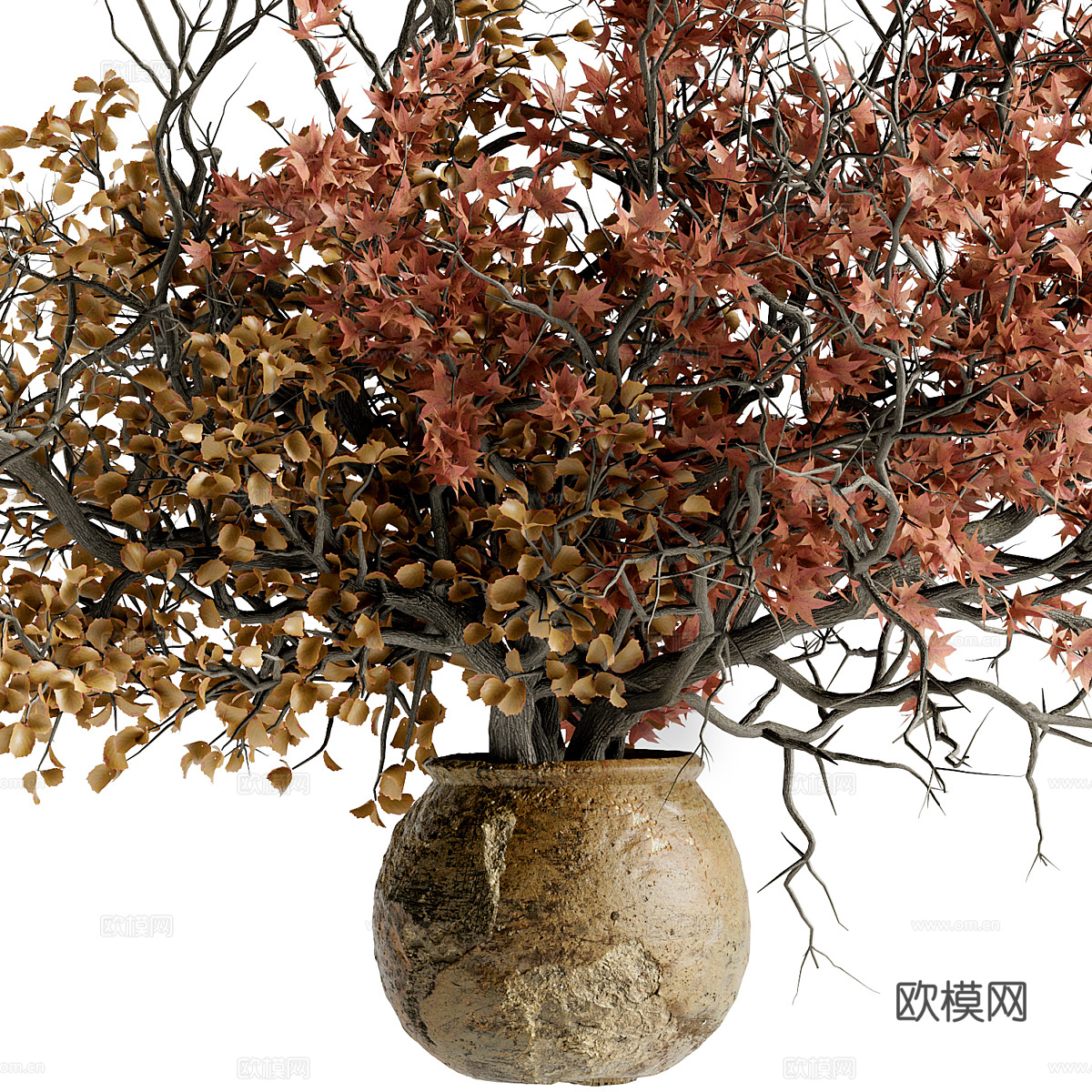 新中式陶罐红枫花艺3d模型
