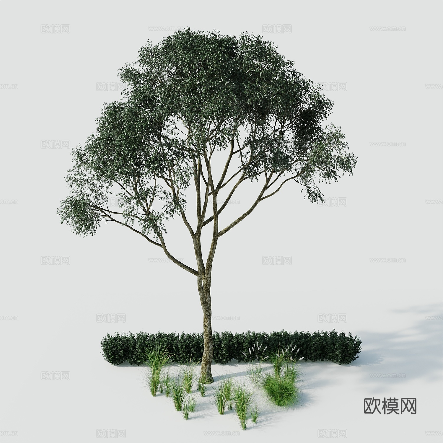 树景观树绿植树绿化树3d模型