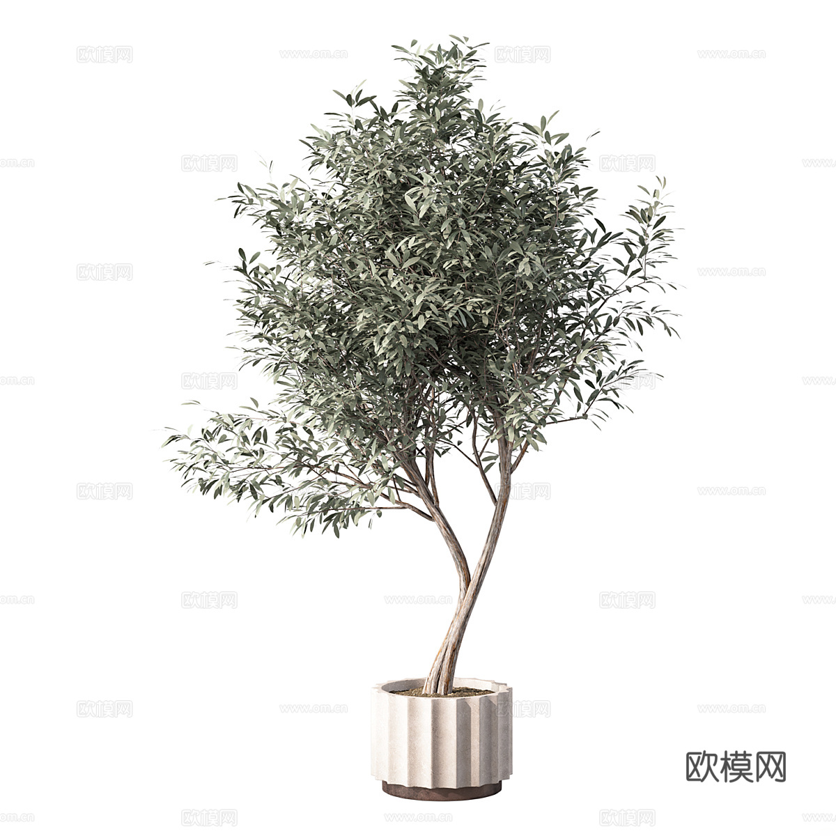 花瓶花卉3d模型