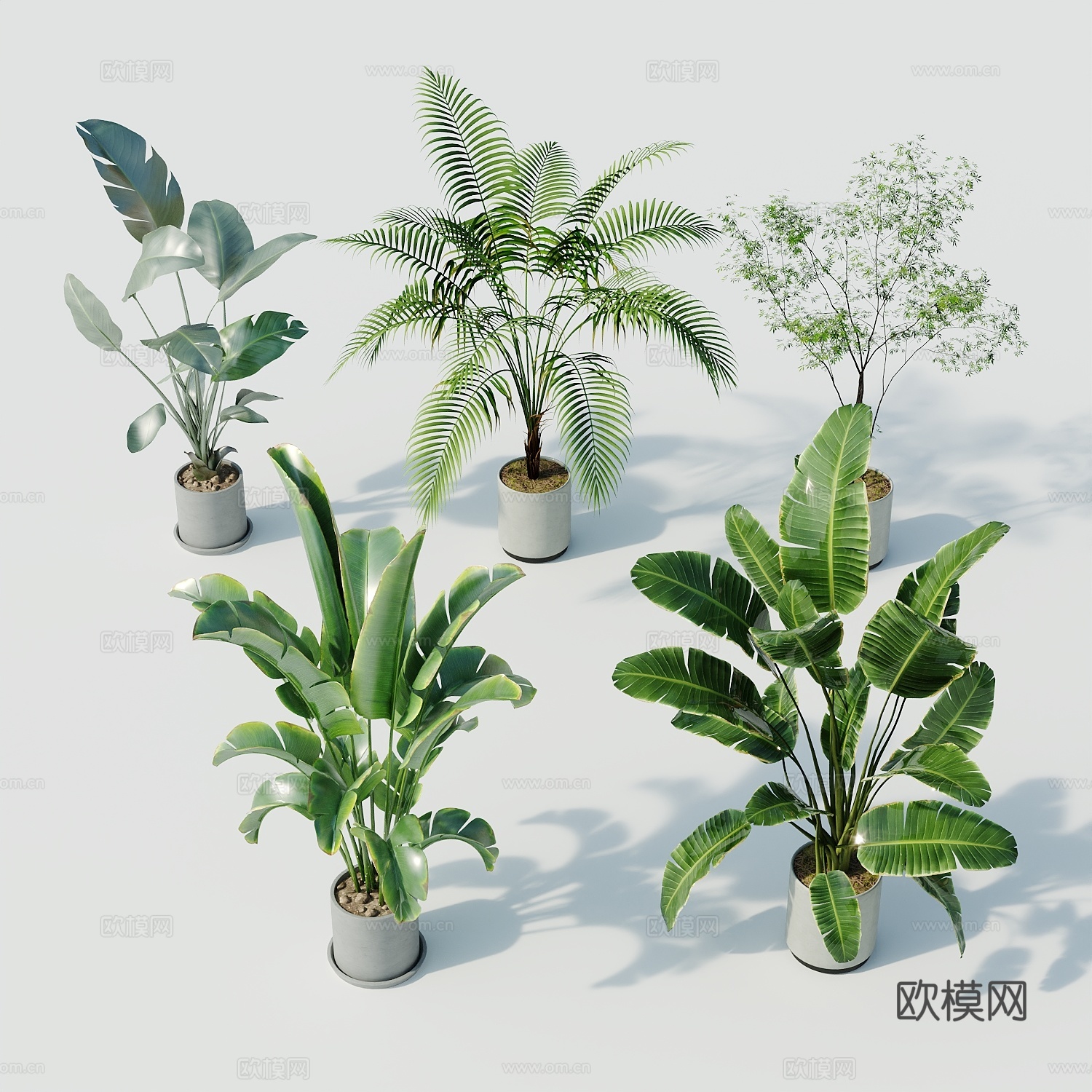 现代盆栽盆栽盆景室内盆栽户外盆栽绿植装饰3d模型