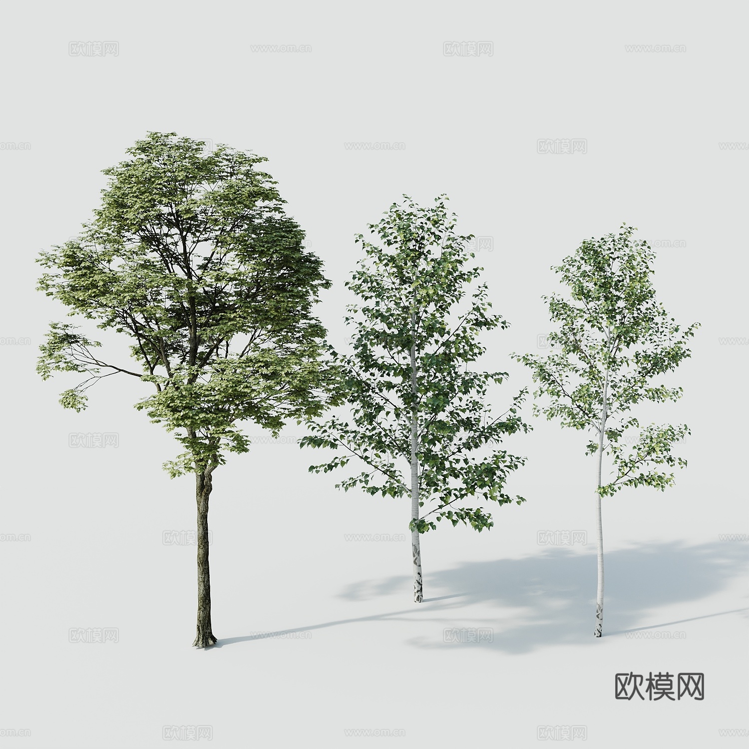 树景观树绿植树绿化树3d模型