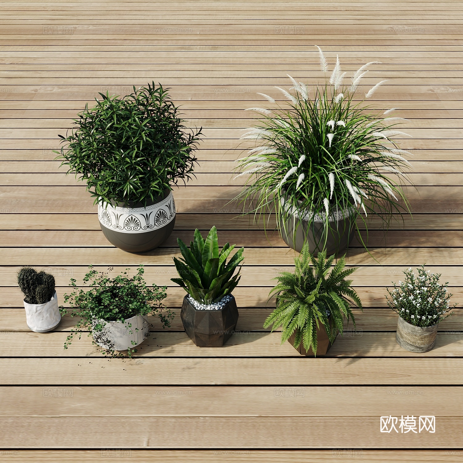 现代盆栽盆栽盆景室内盆栽户外盆栽绿植装饰3d模型