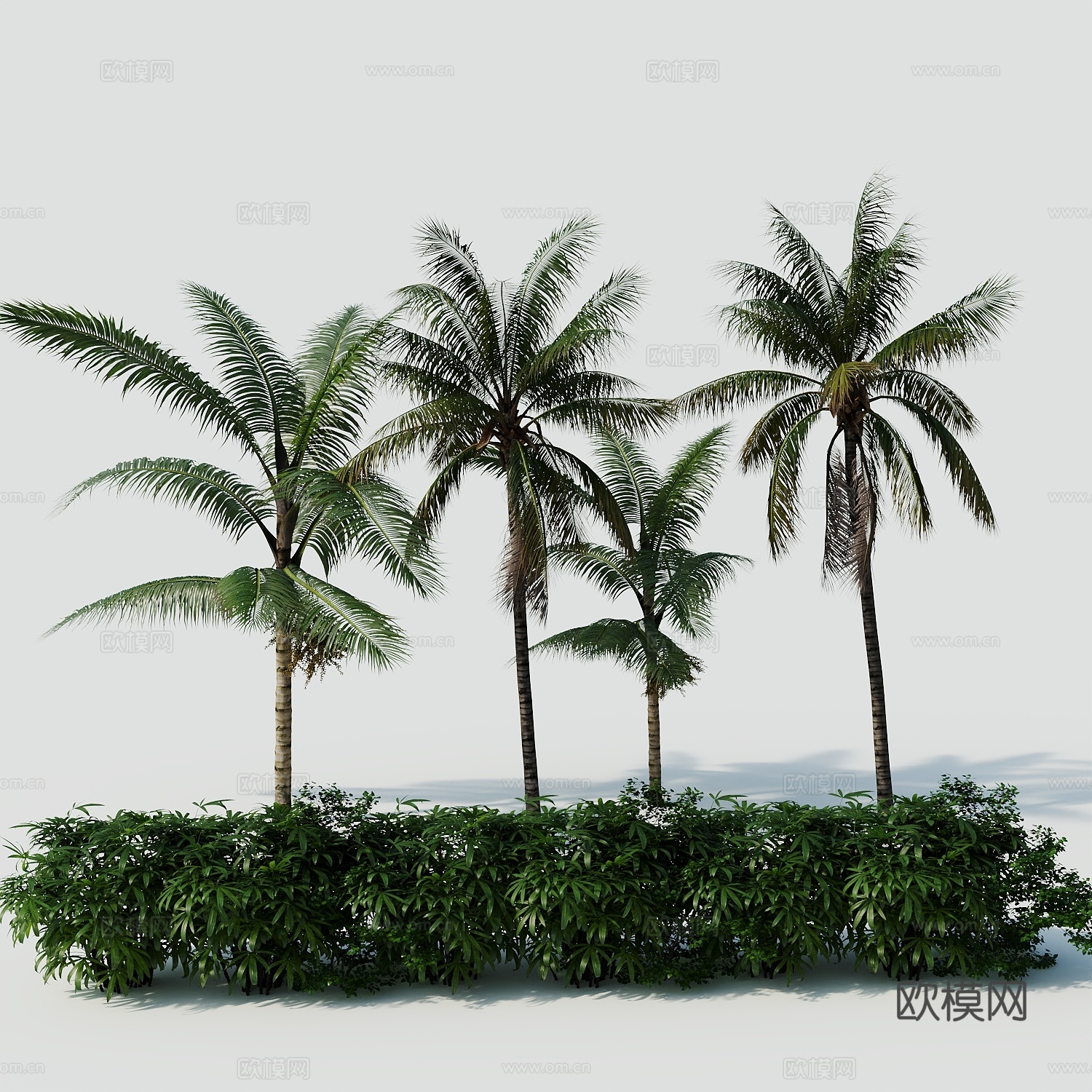 树景观树绿植树绿化树3d模型