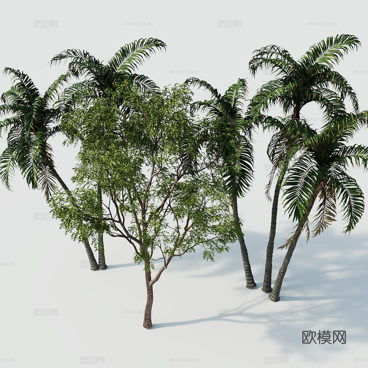 树景观树绿植树绿化树3d模型