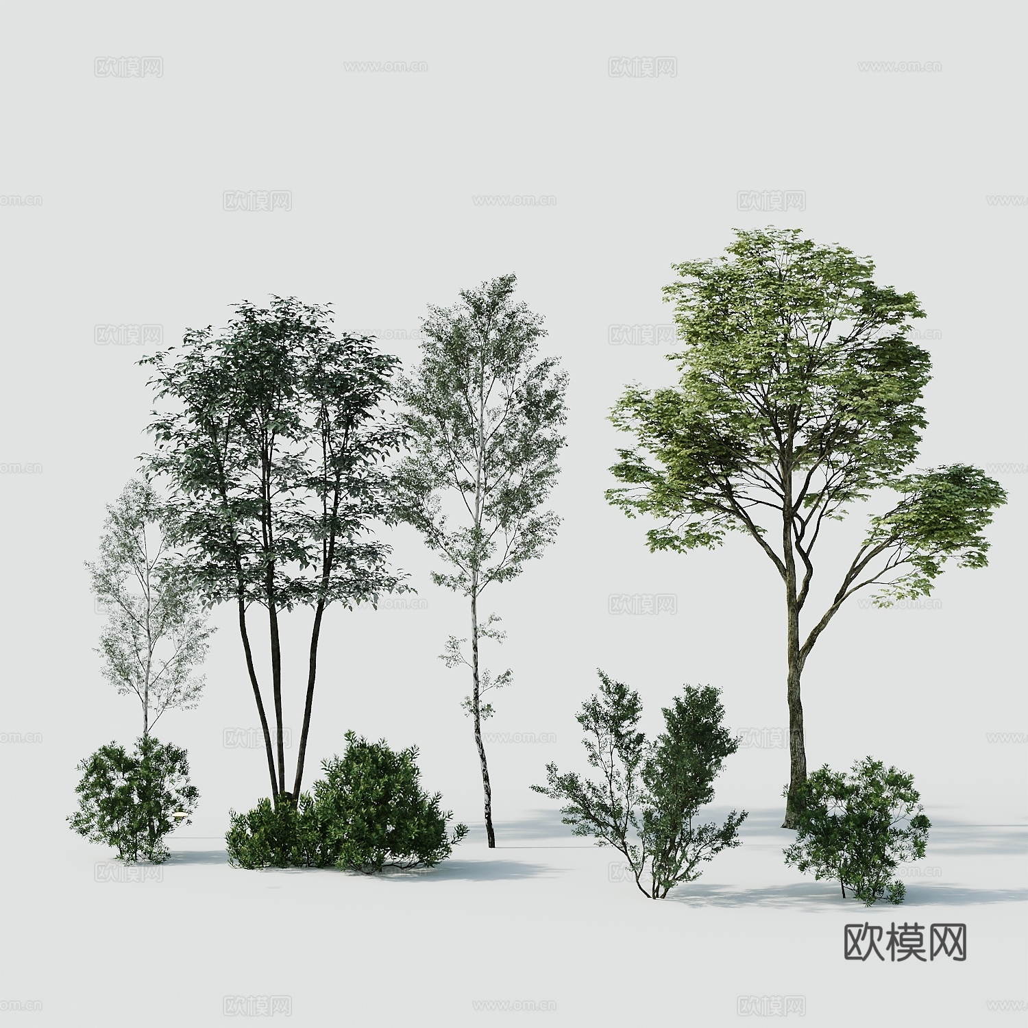 树景观树绿植树绿化树3d模型