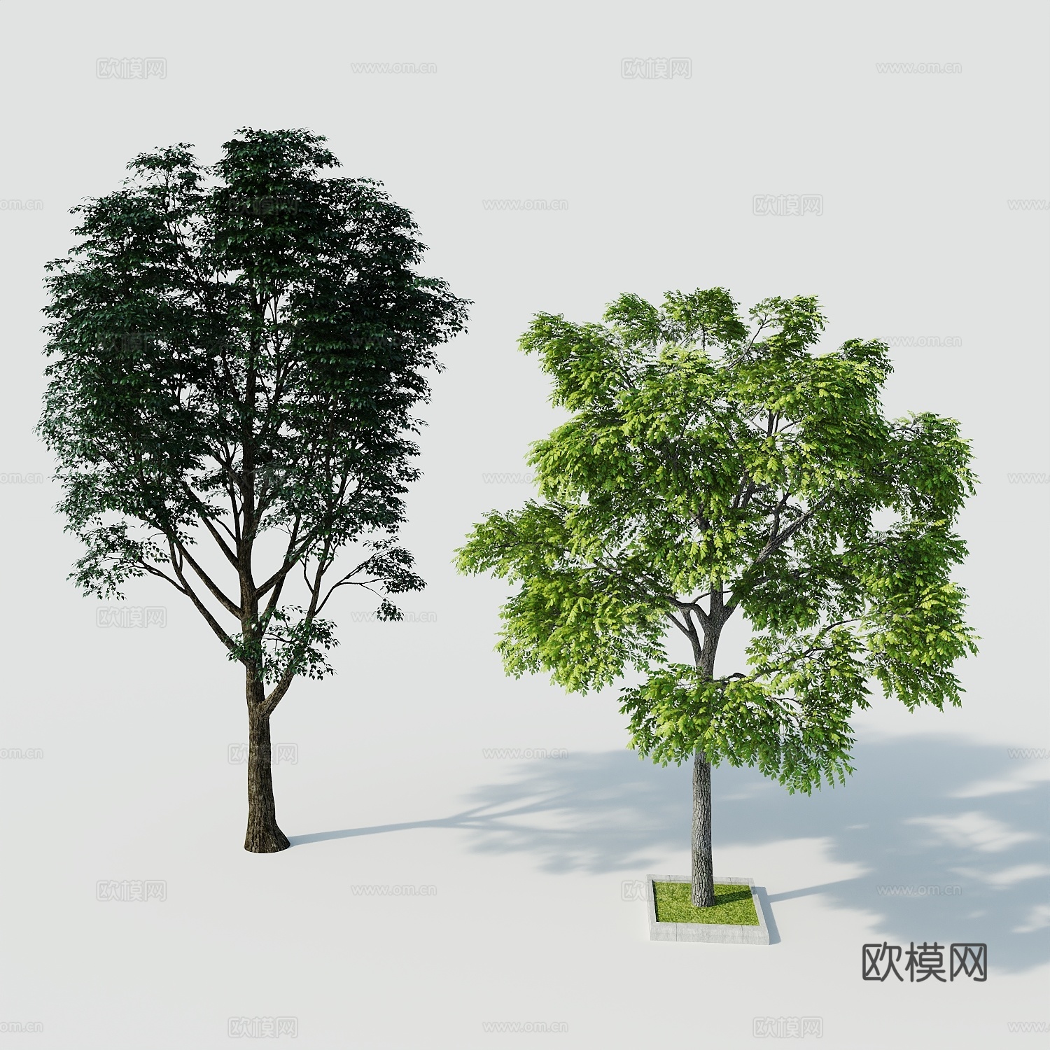 树景观树绿植树绿化树3d模型