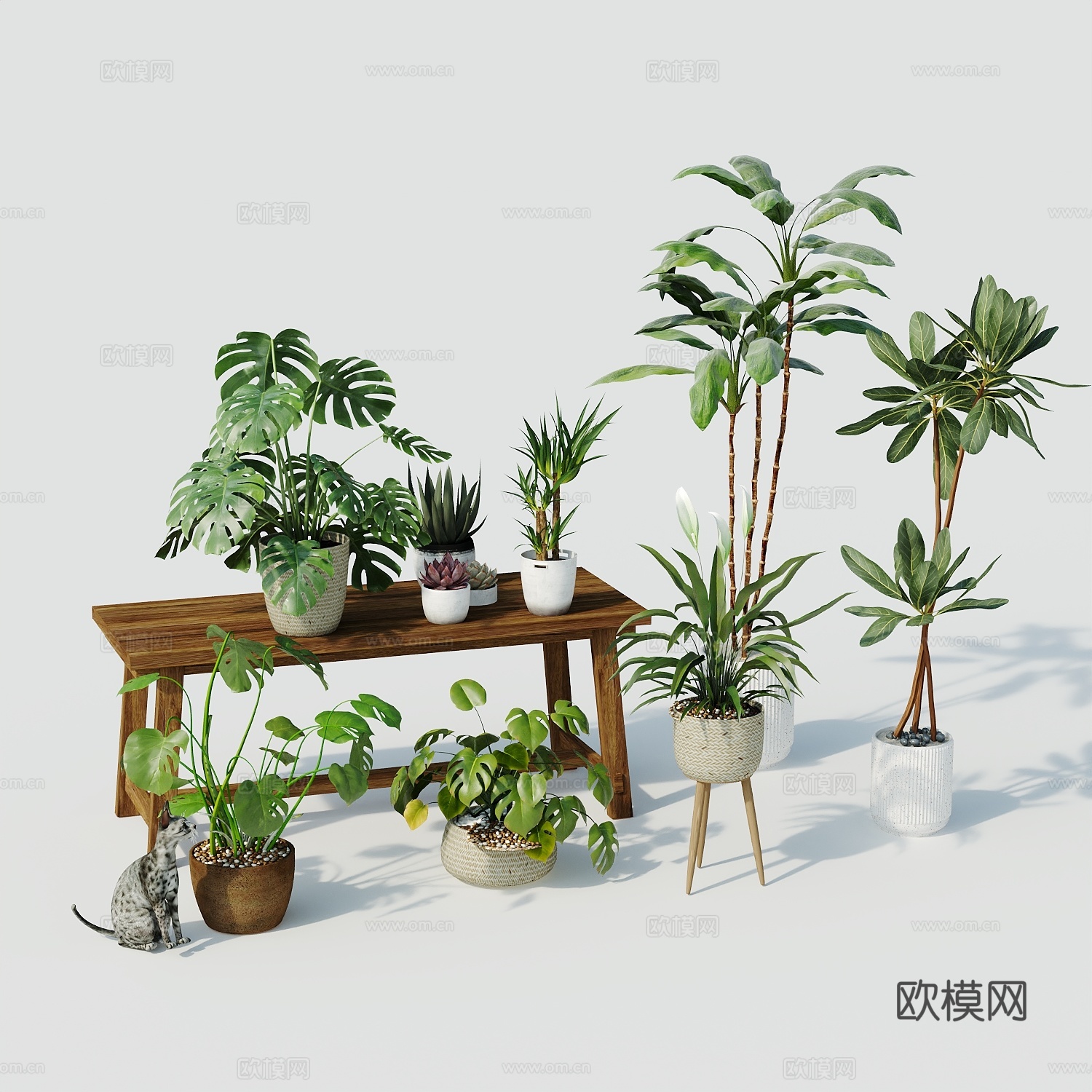 现代盆栽盆栽盆景室内盆栽户外盆栽绿植装饰3d模型