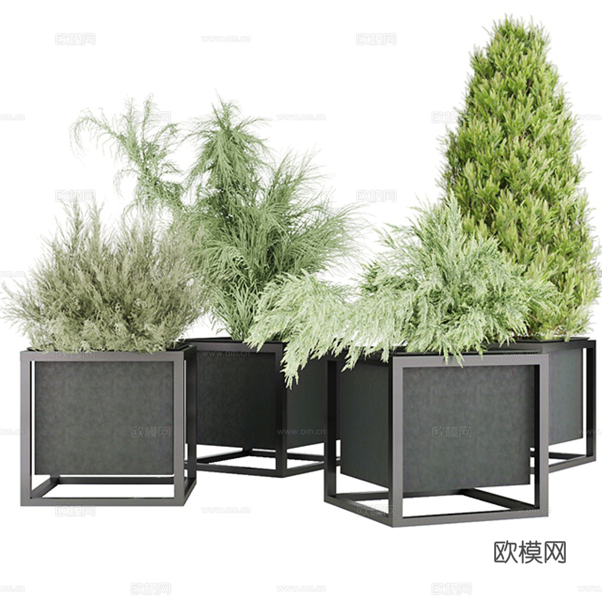 收集植物3d模型