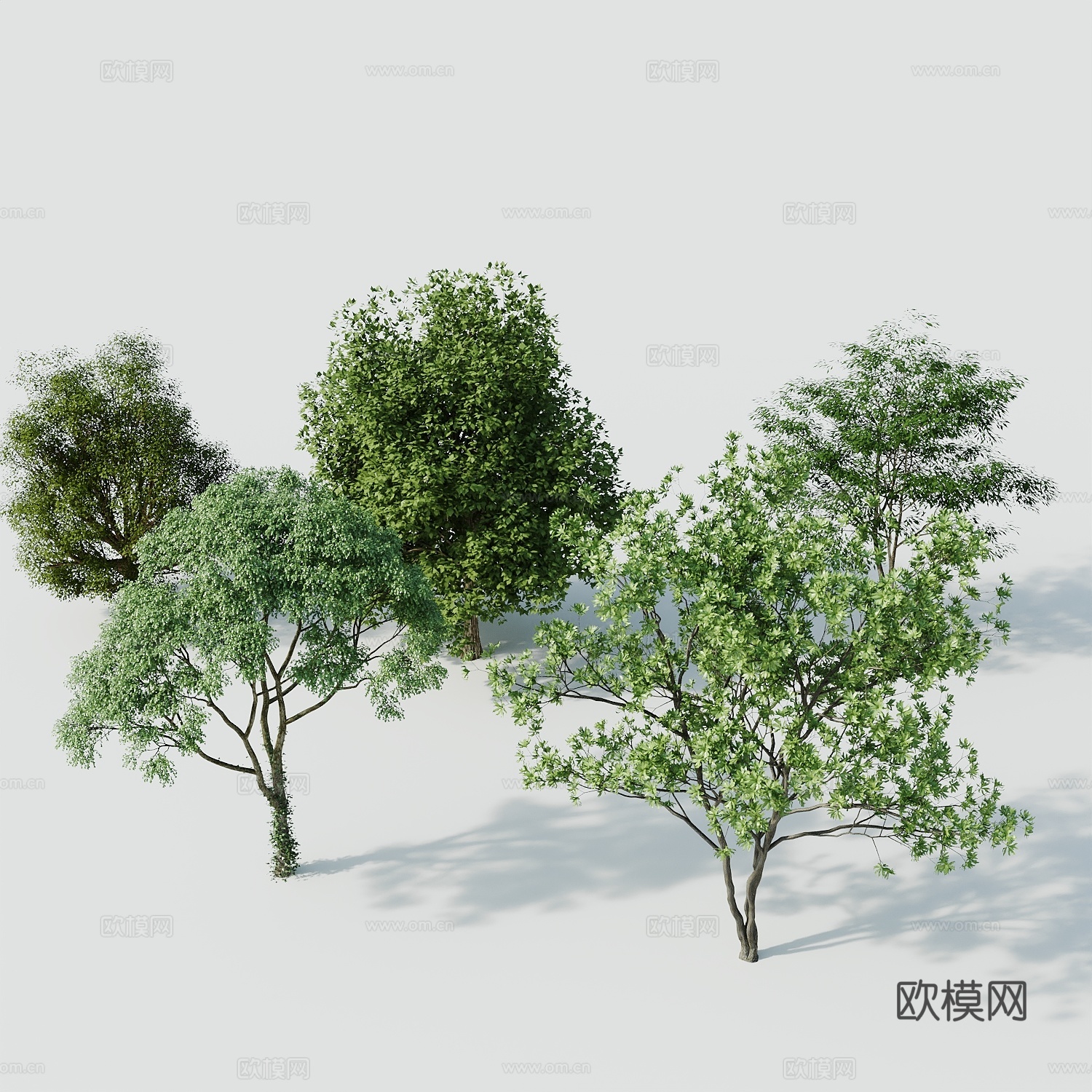 树景观树绿植树绿化树3d模型