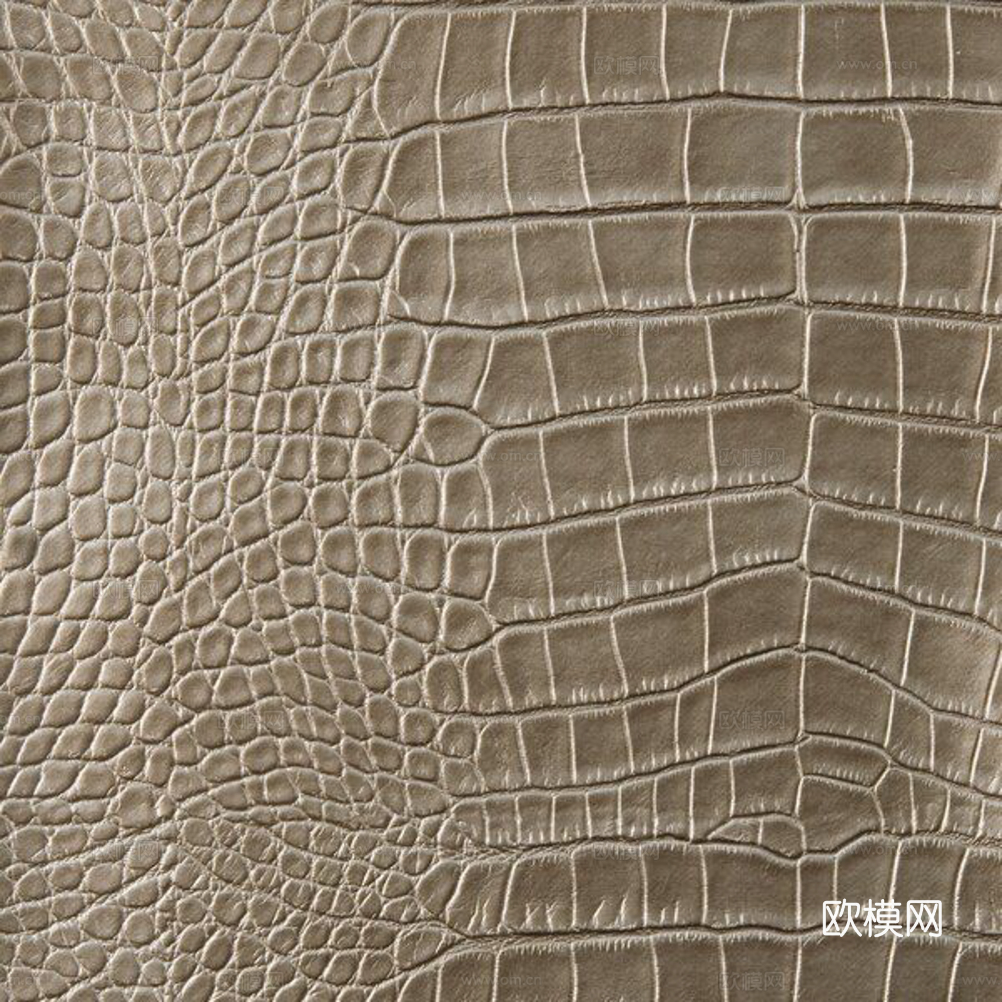 粗纹皮革下载