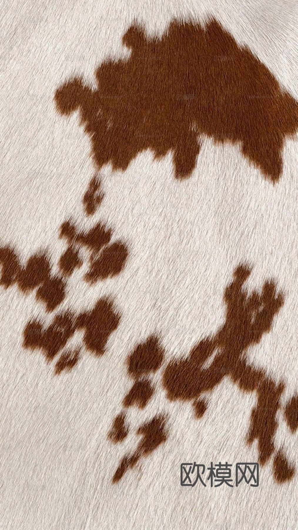 动物皮革