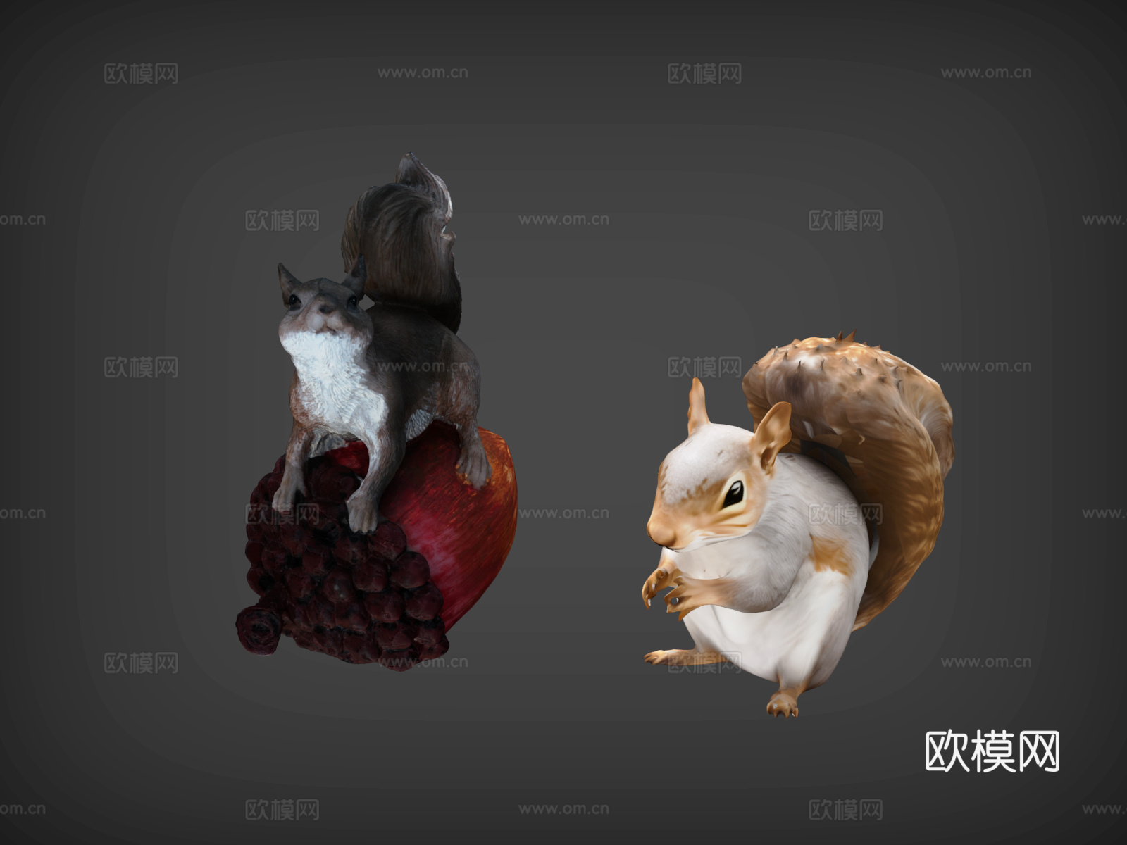 松鼠 松子  卡通松鼠 动画松鼠 松子  两只松鼠3d模型