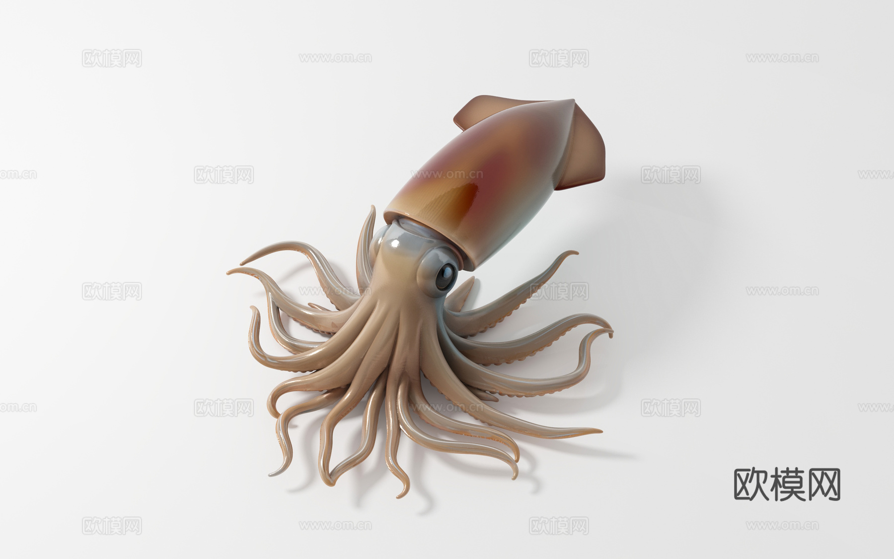 乌贼章鱼鱿鱼 卡通生物 动漫风格 手办摆件 动物标本 手办摆3d模型