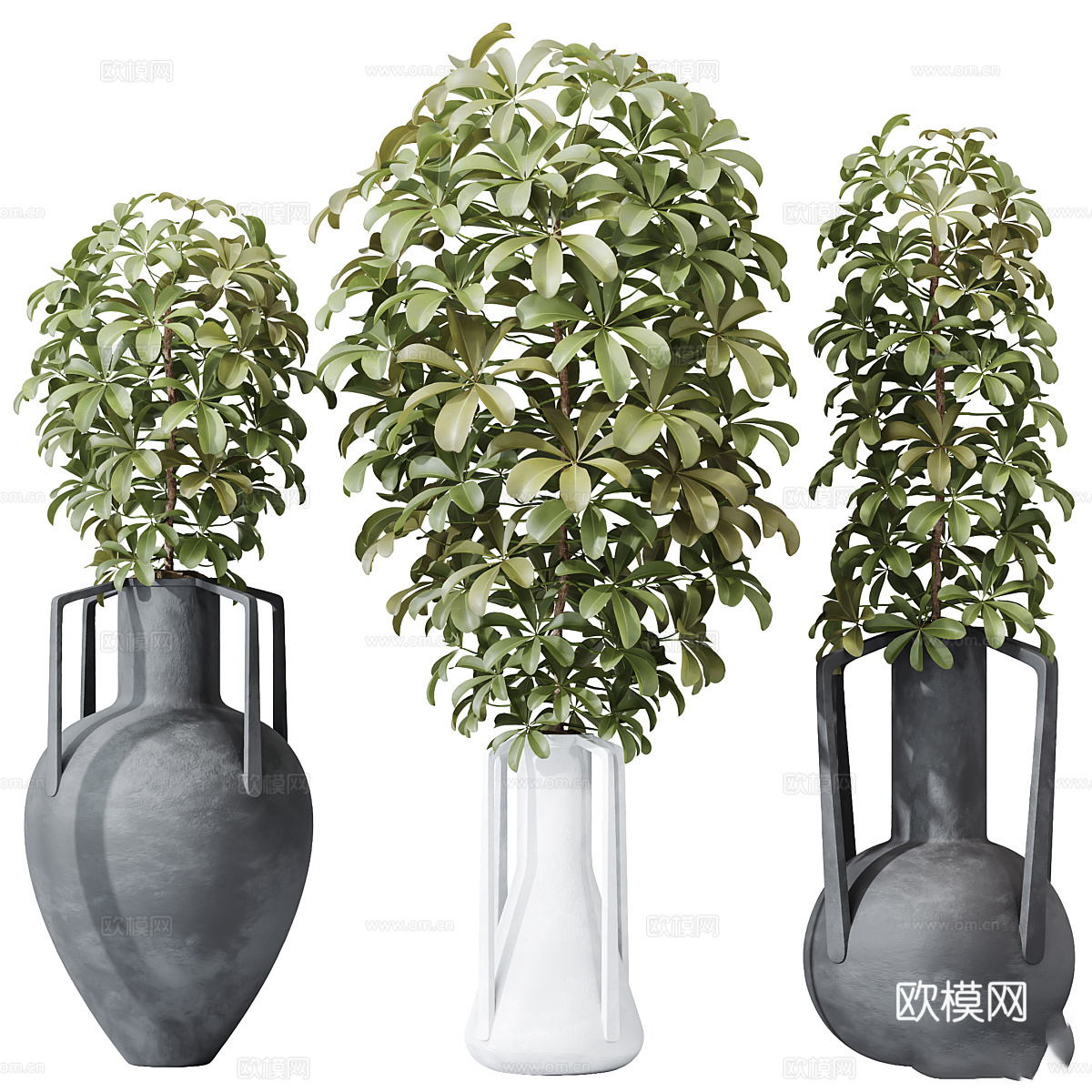 现代侘寂绿植盆栽3d模型