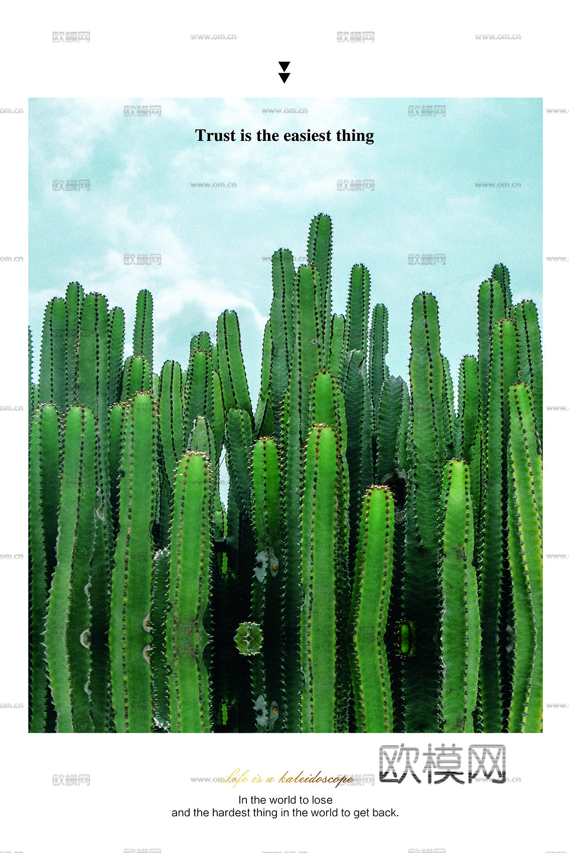 植物