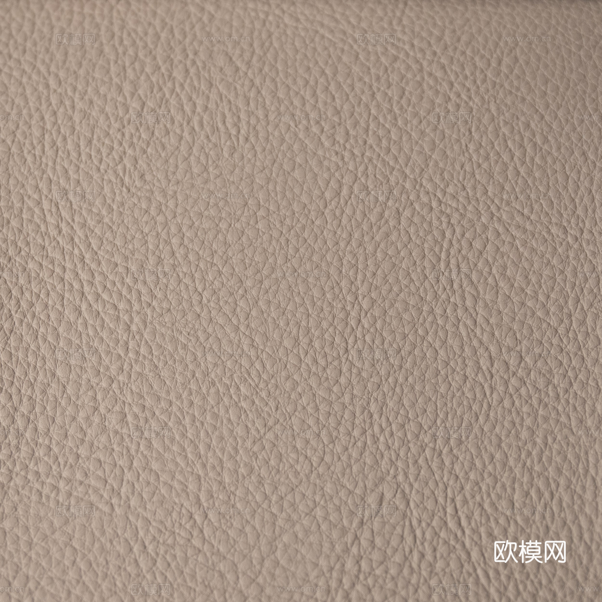 细纹皮革下载