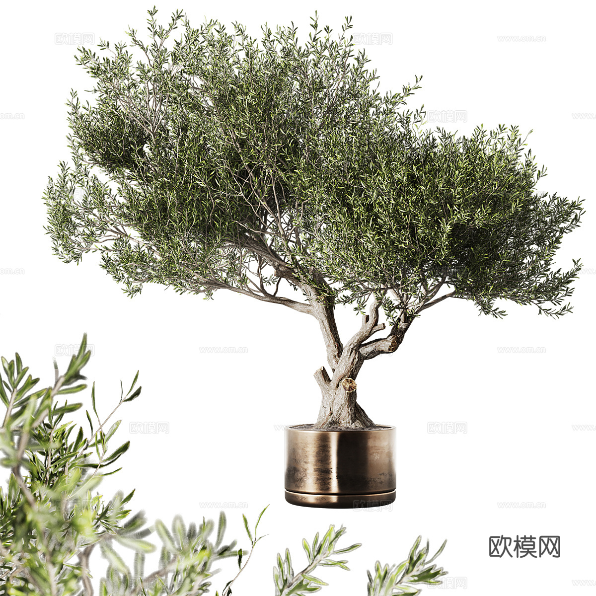 花瓶花卉3d模型