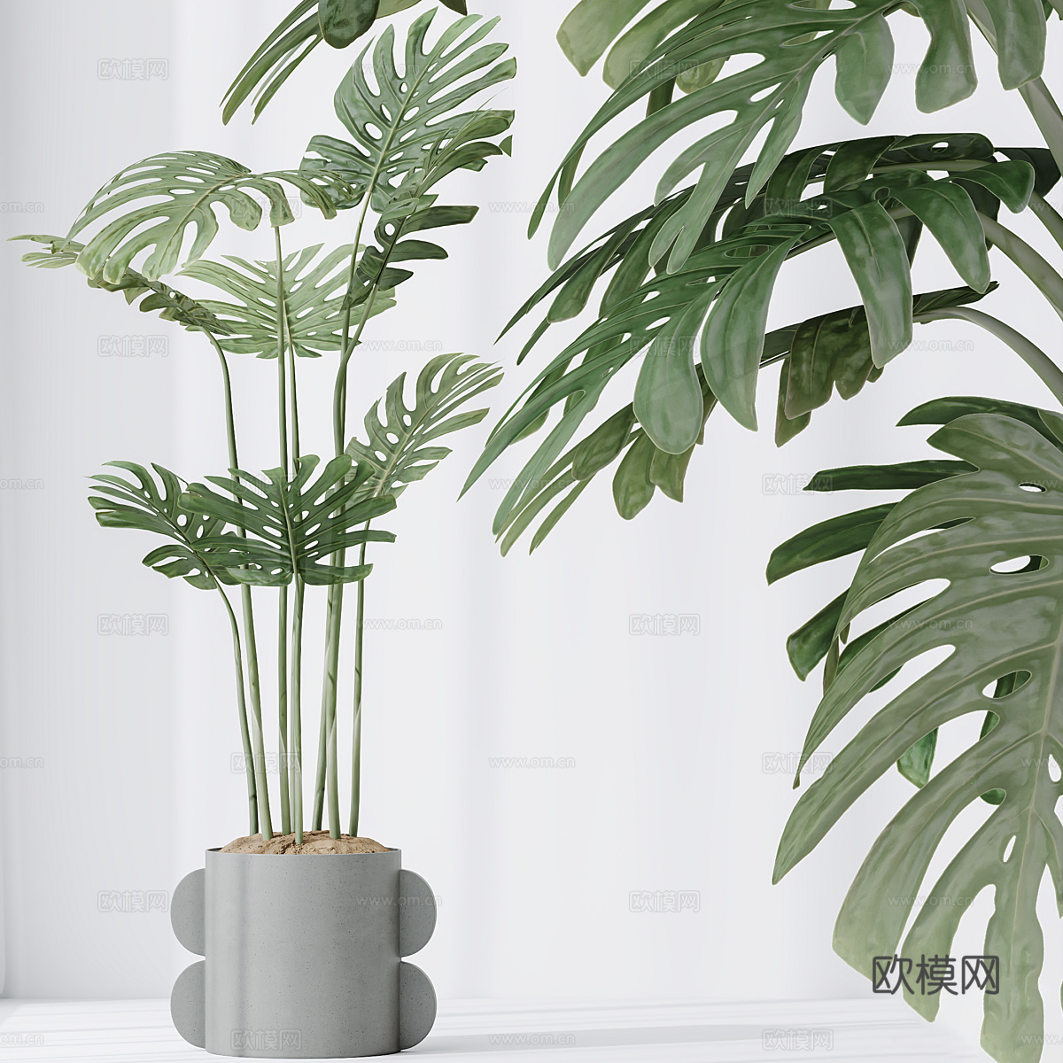 现代北欧绿植盆栽3d模型