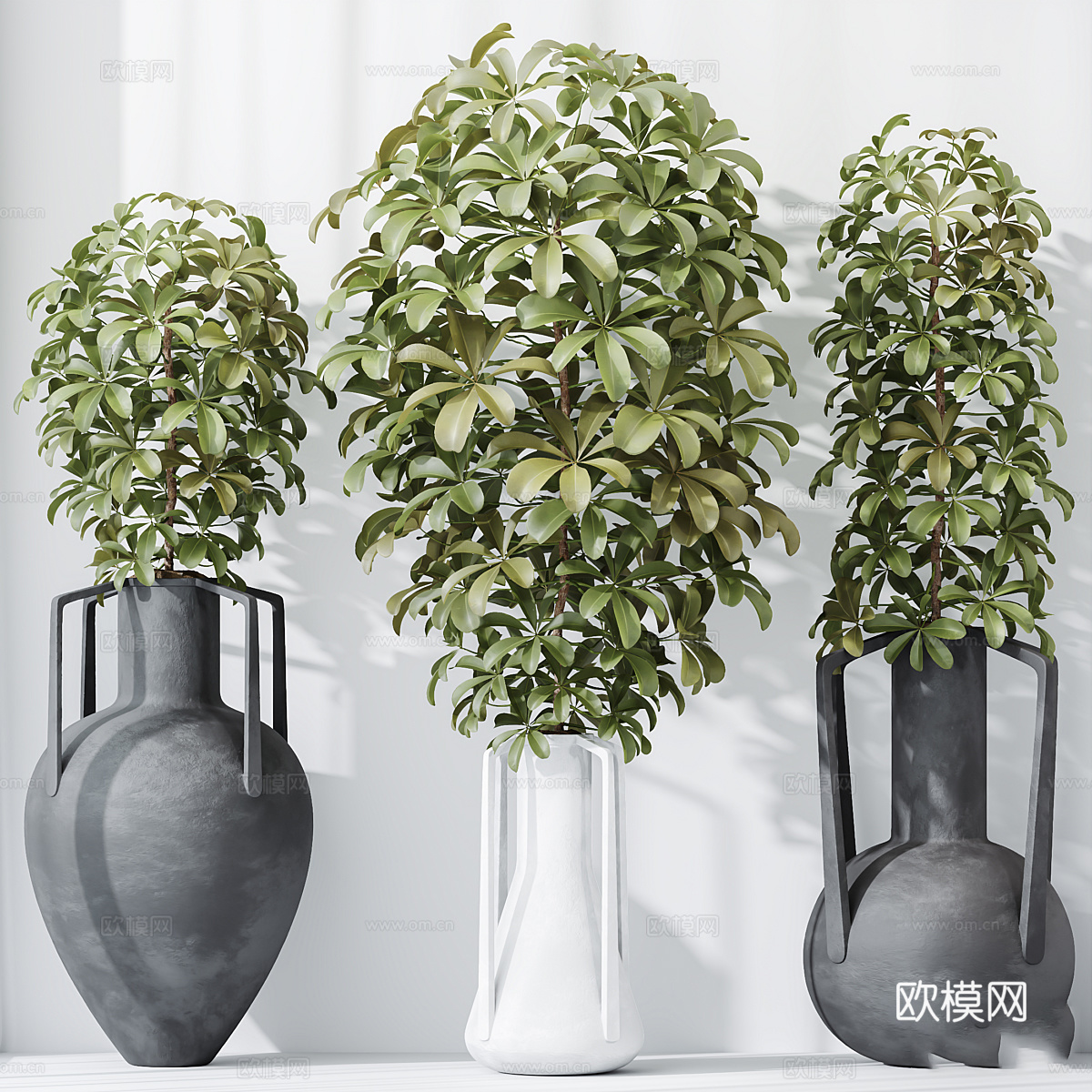 现代侘寂绿植盆栽3d模型