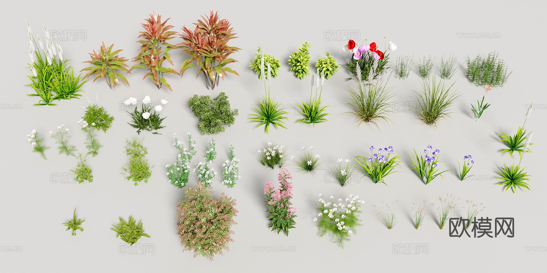 花草灌木组合好看花3d模型