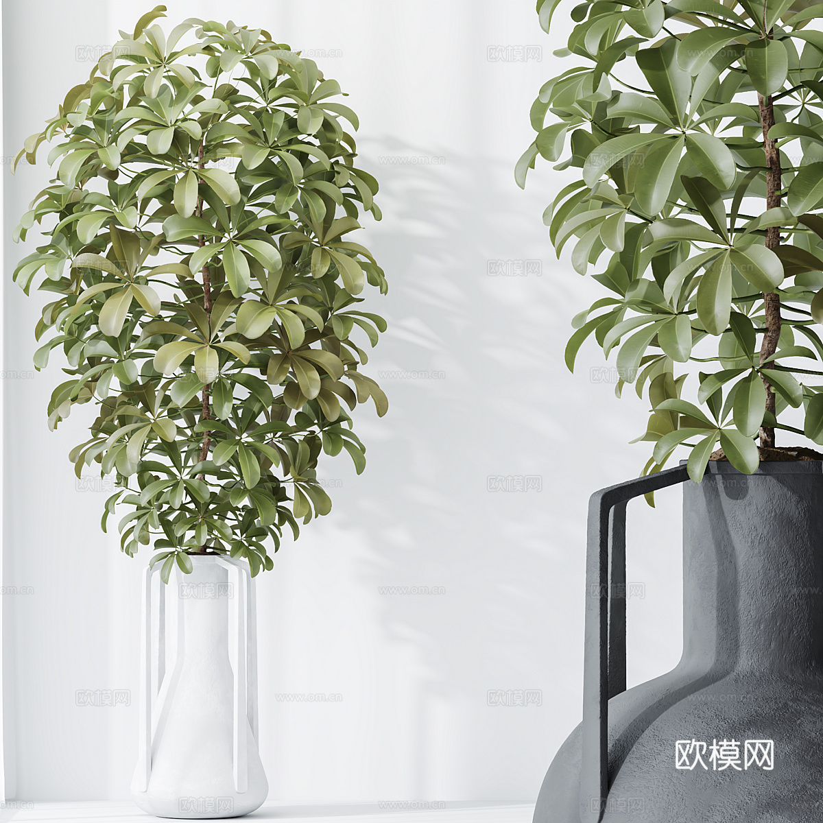 现代侘寂绿植盆栽3d模型