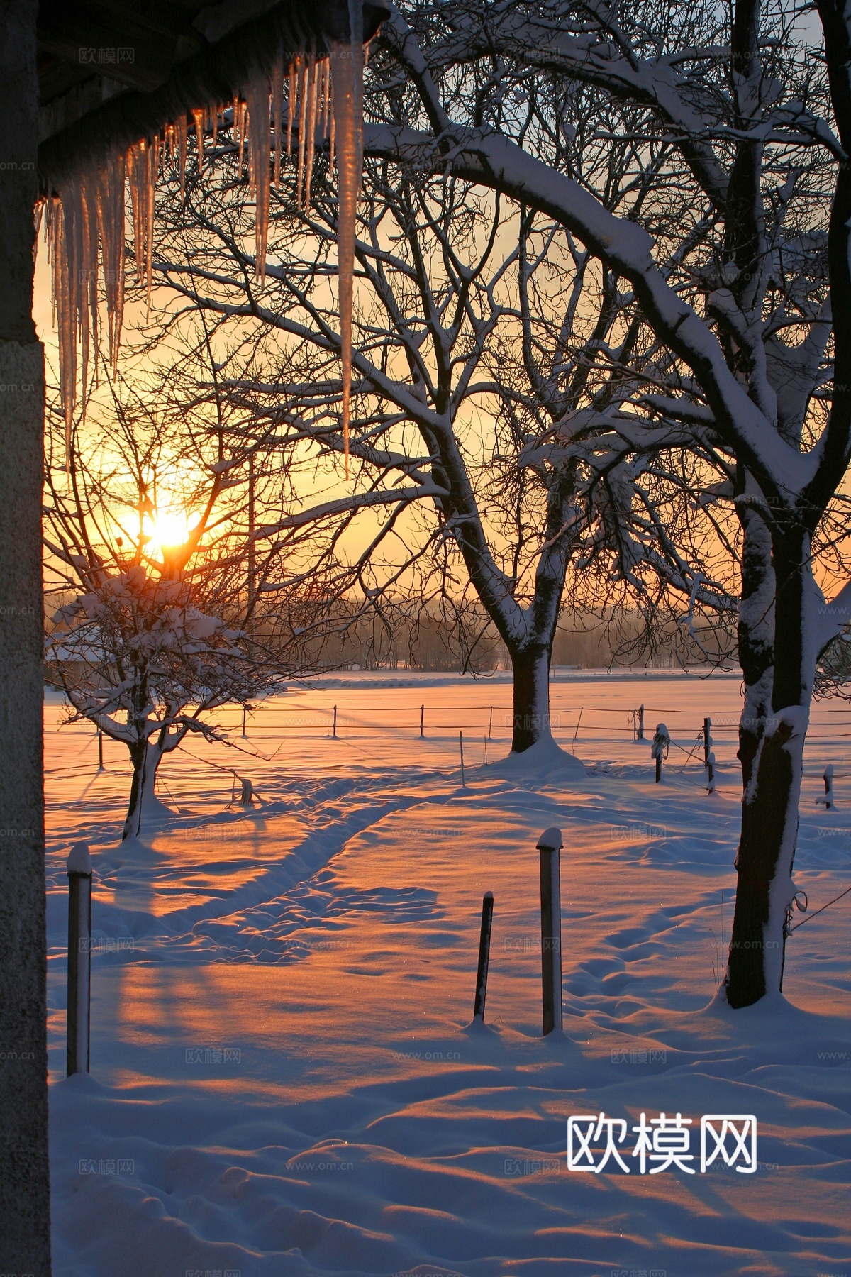 雪山风景  雪景