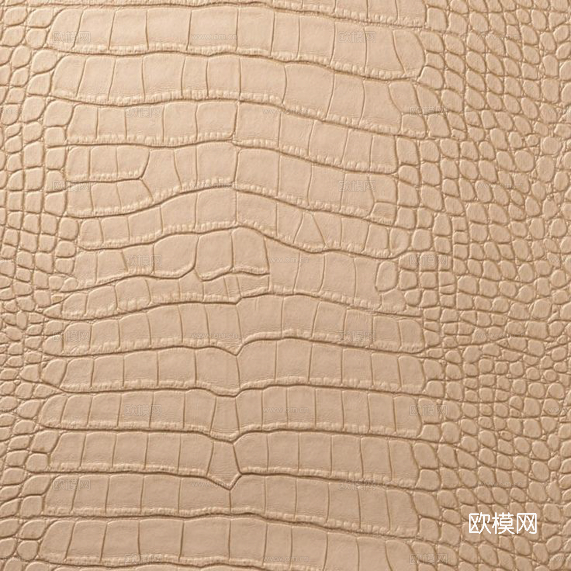 粗纹皮革