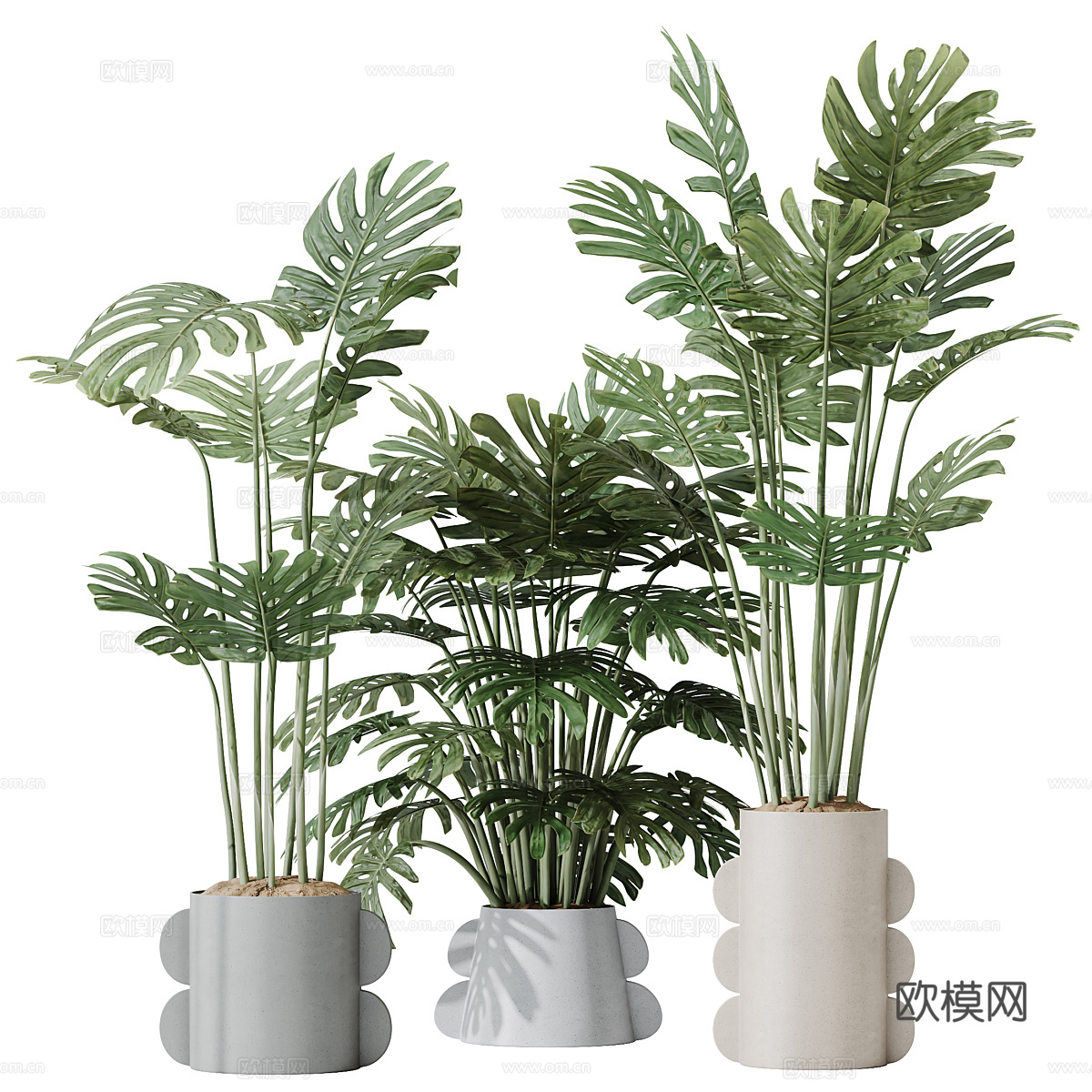 现代北欧绿植盆栽3d模型