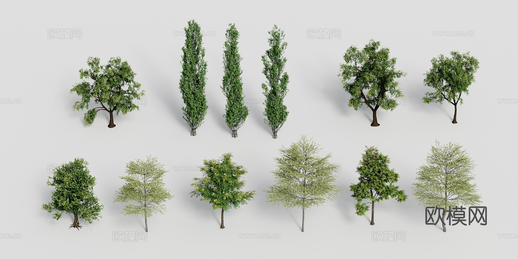 景观树乔木3d模型