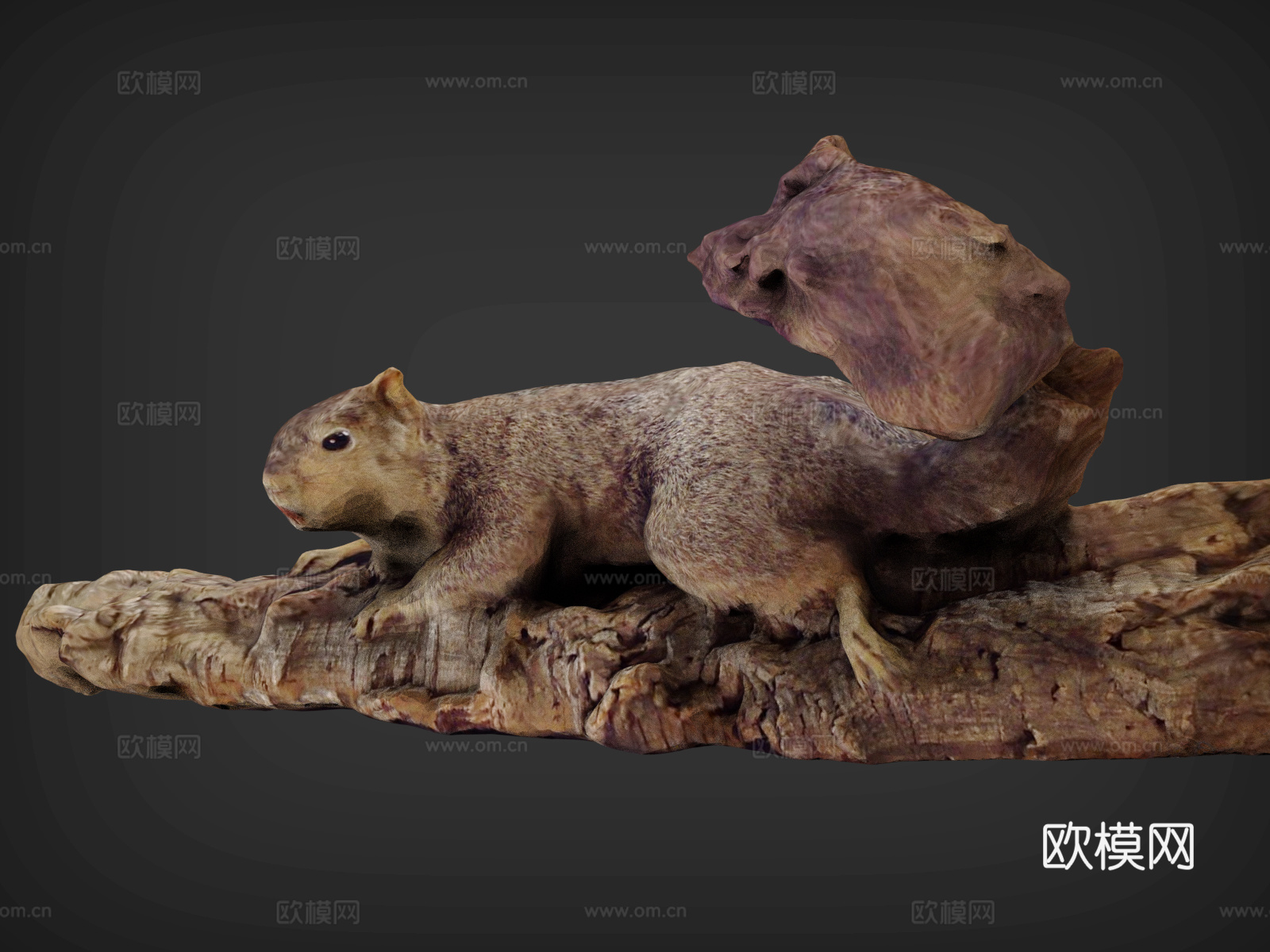 松鼠  松鼠爬树  可通松鼠  动画松鼠   一只松鼠3d模型