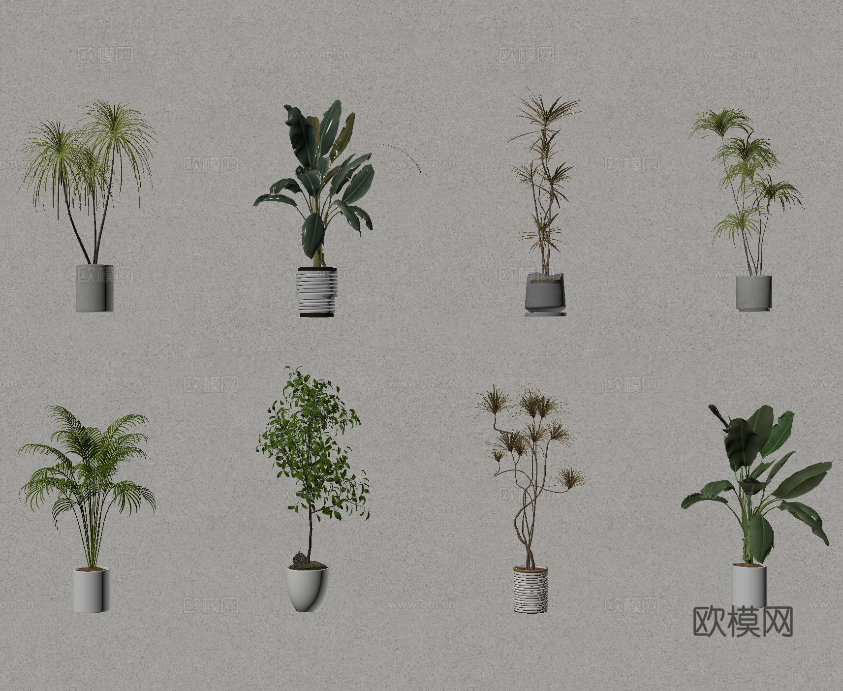 盆栽 盆景 绿植 植物su模型