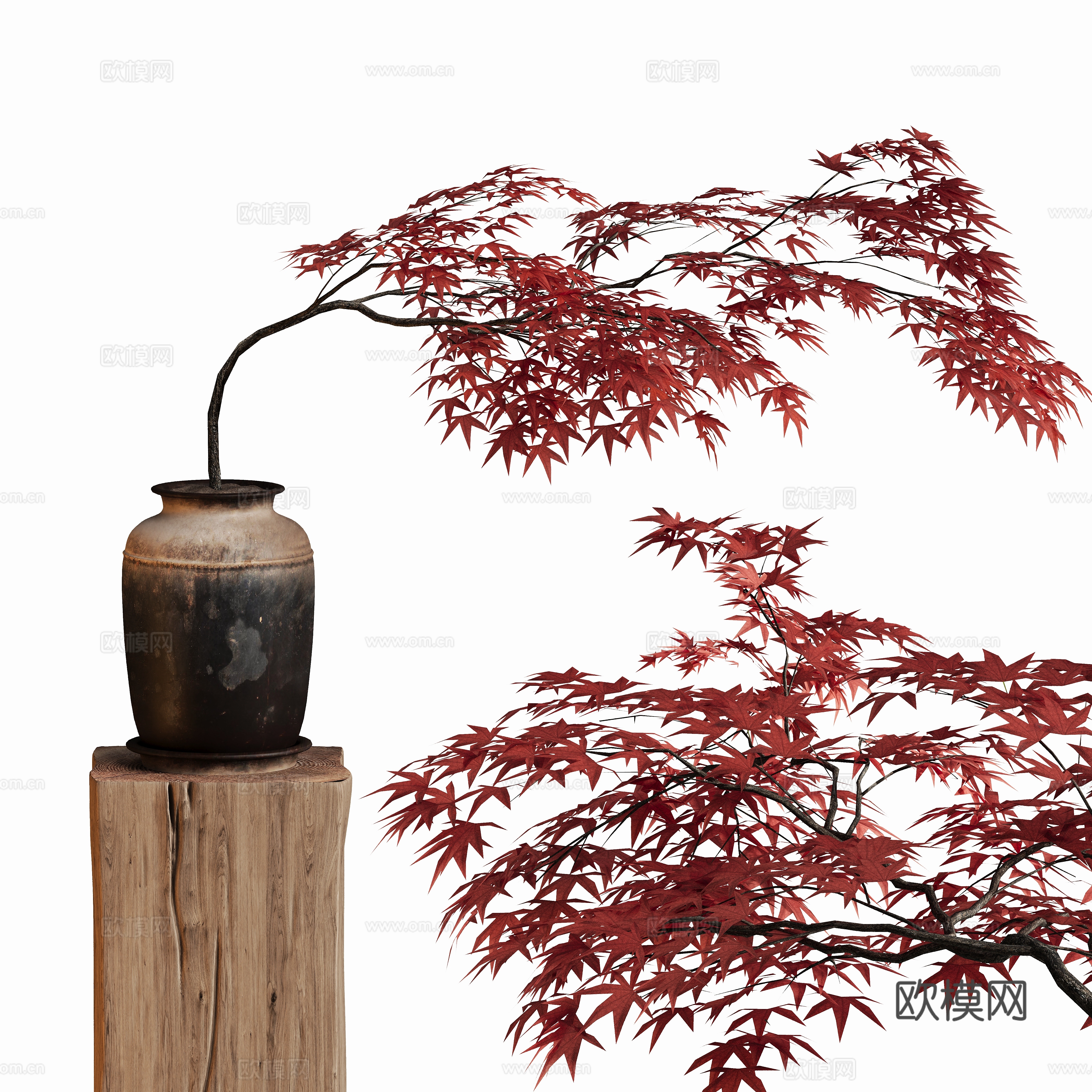 新中式盆栽枫叶植物su模型