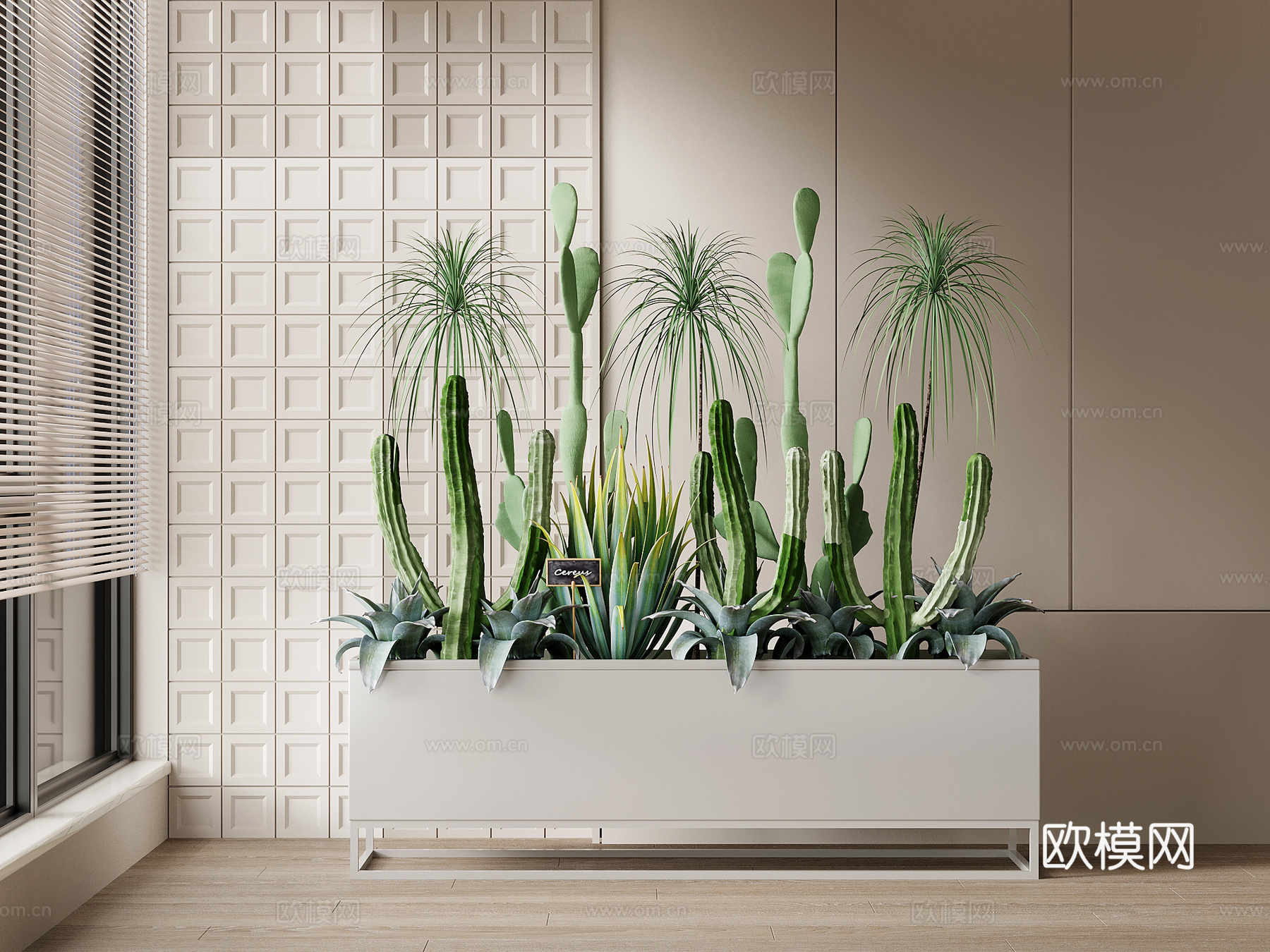 仙人掌 现代花坛 花池 仙人掌 植物堆3d模型