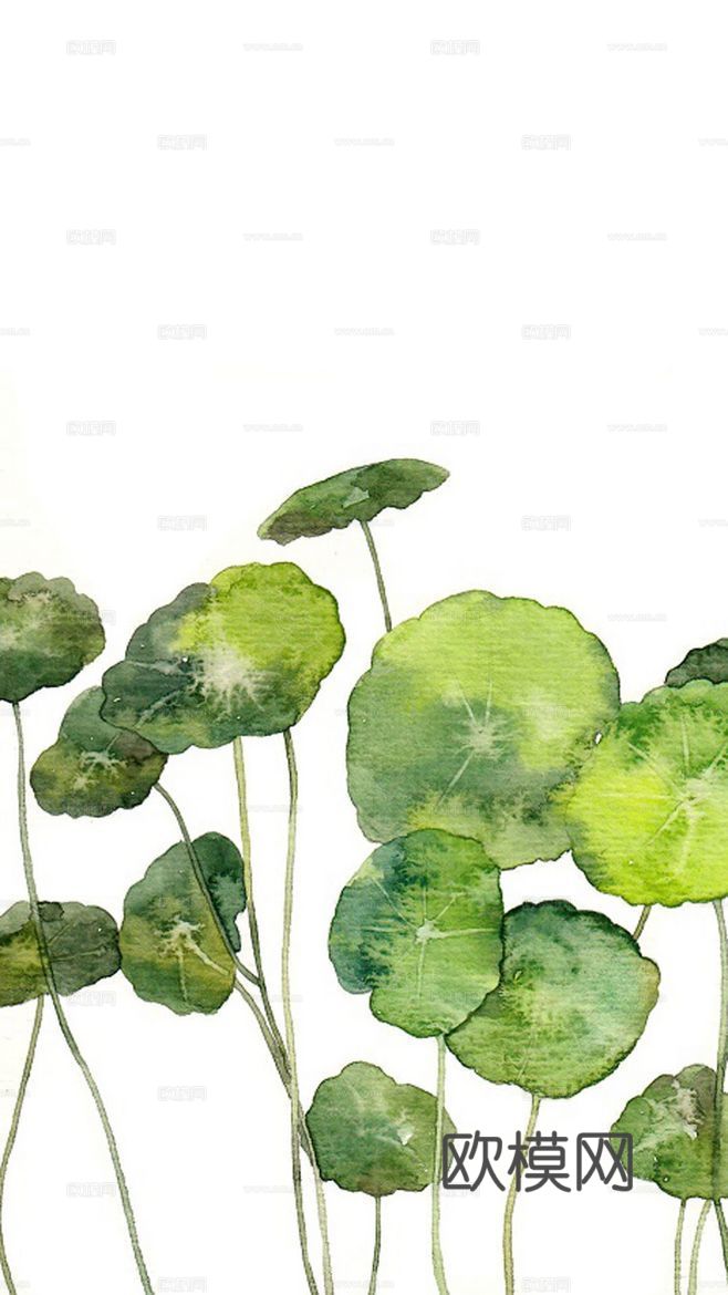 植物