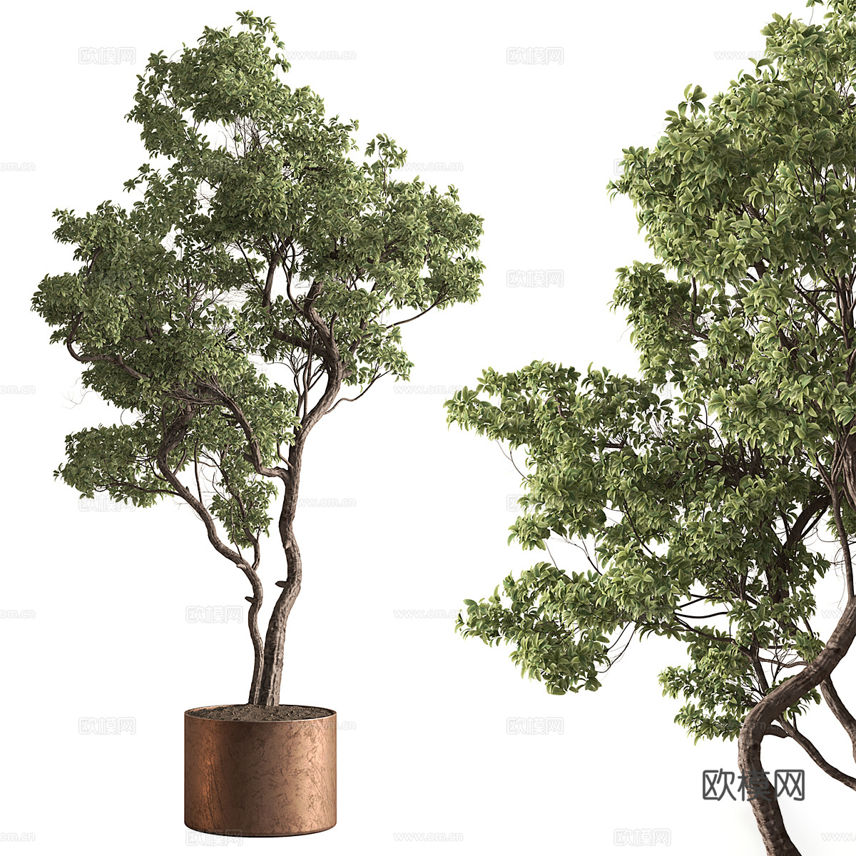 新中式轻奢绿植盆栽3d模型