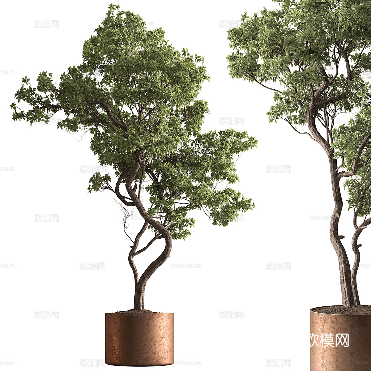 新中式轻奢绿植盆栽3d模型