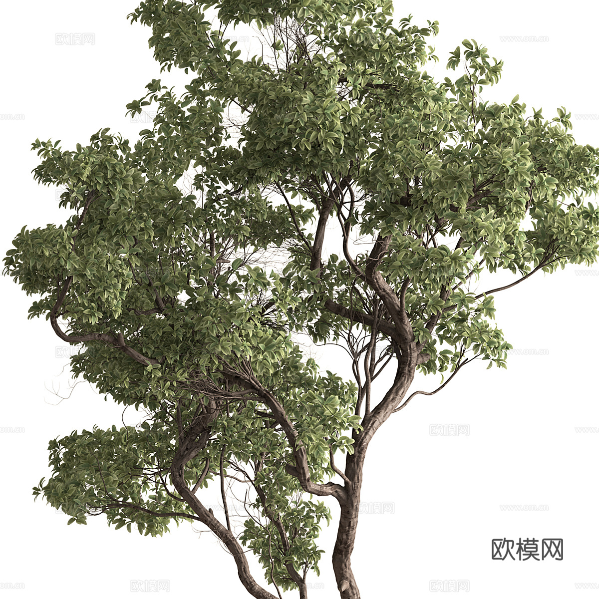 新中式轻奢绿植盆栽3d模型