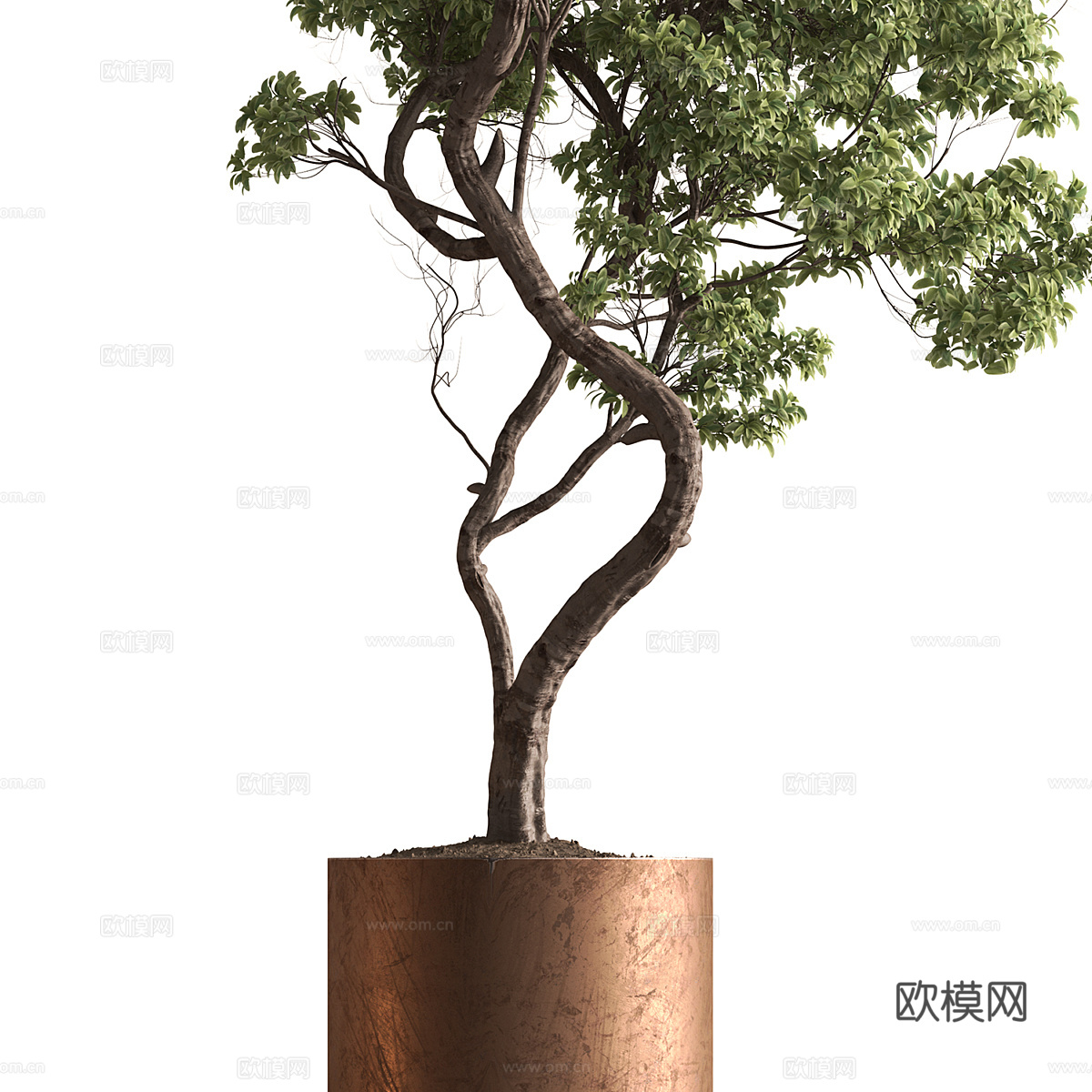 新中式轻奢绿植盆栽3d模型