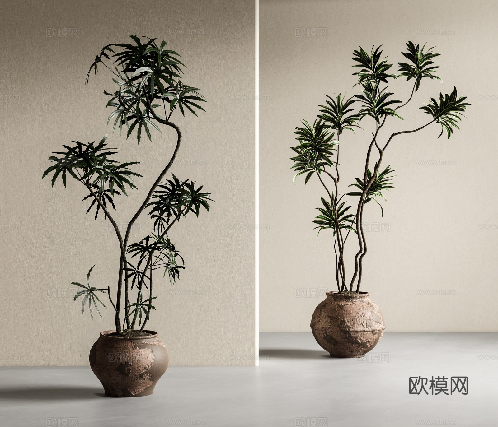 盆栽 绿植盆栽 盆景 陶罐3d模型