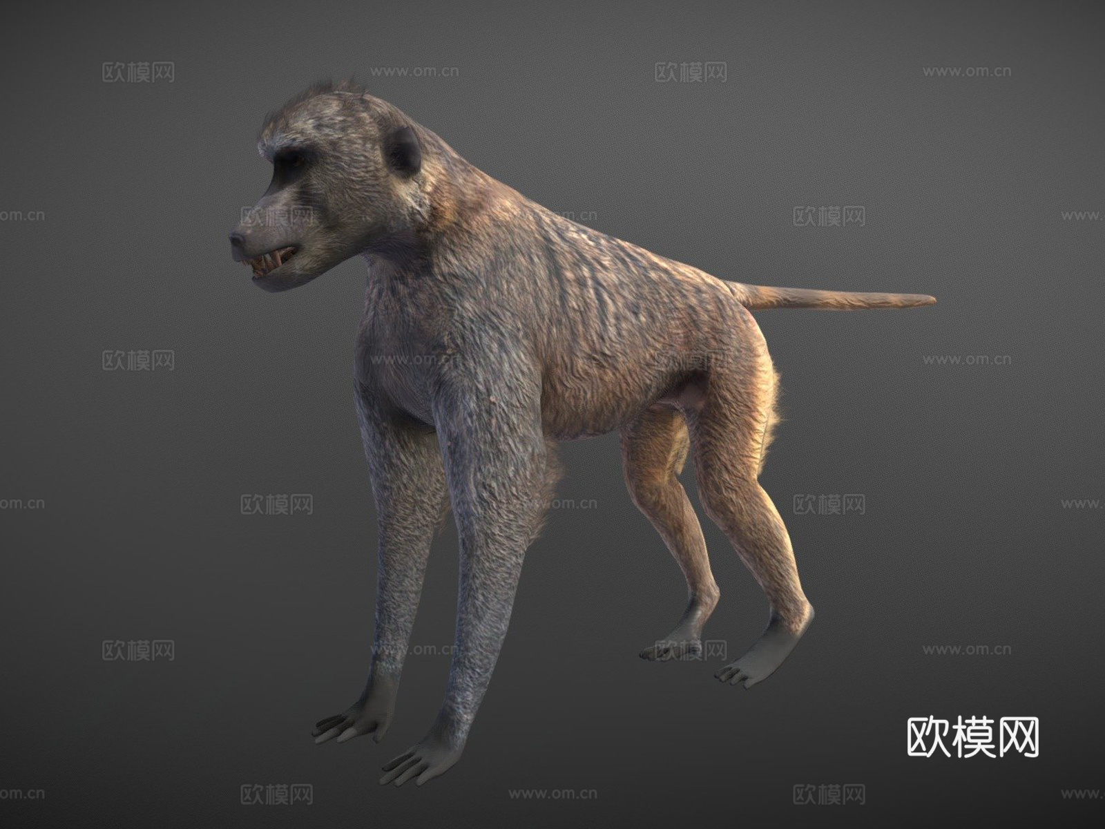 猴  猴子  猿  长臂猿  大猩猩  猩猩  狒狒3d模型