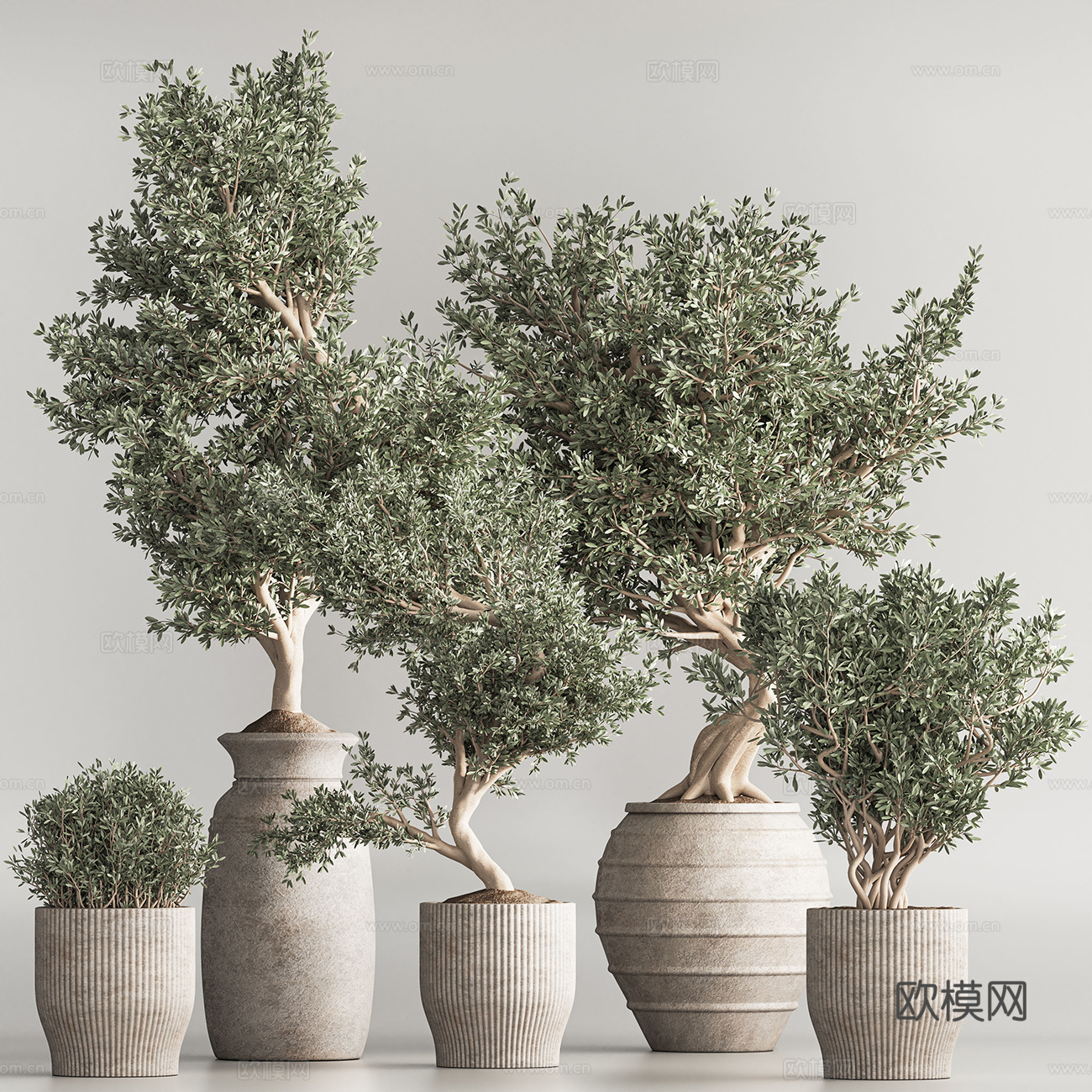 盆栽3d模型下载